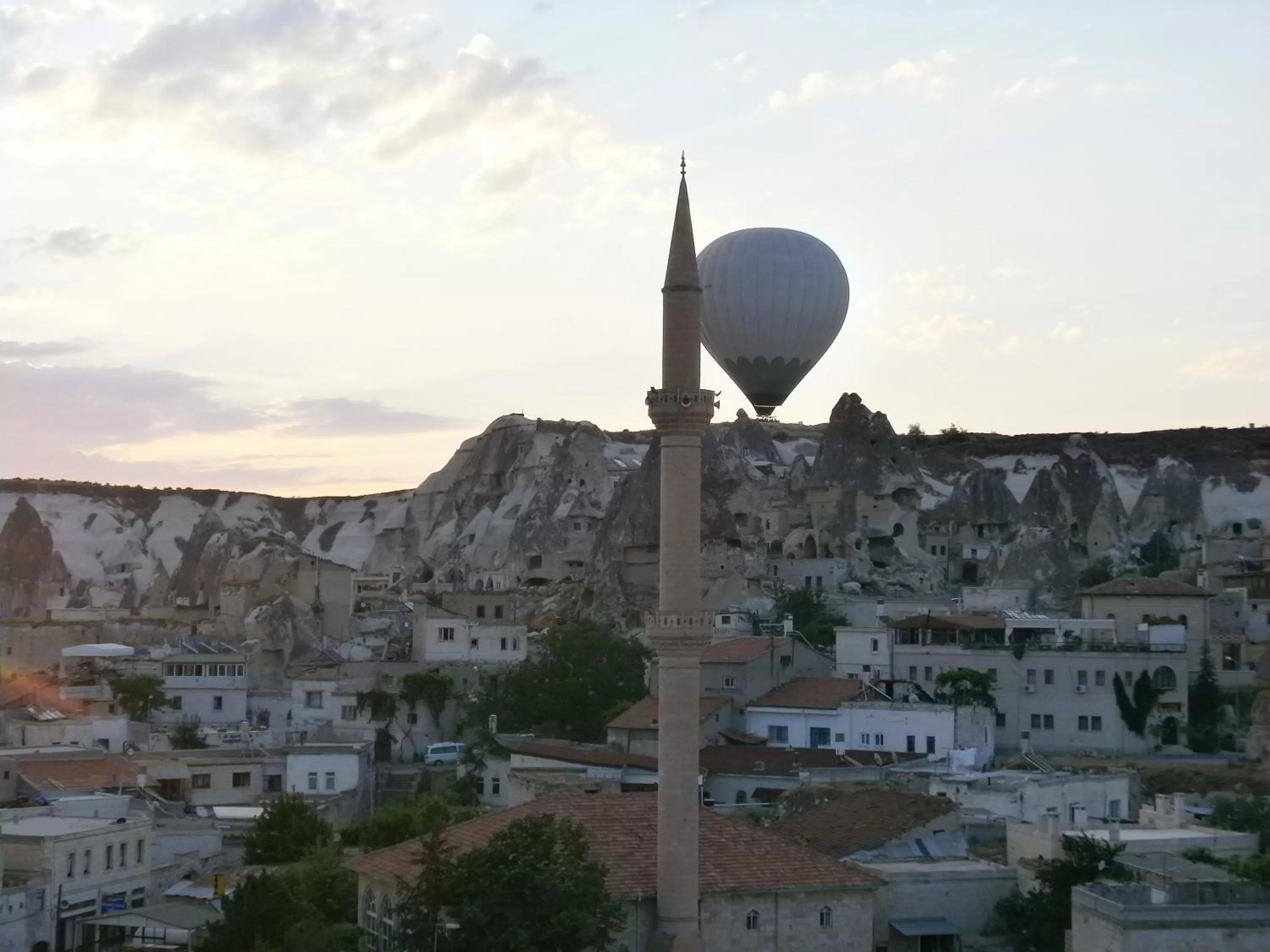 Summer in Kookaburra Hotel