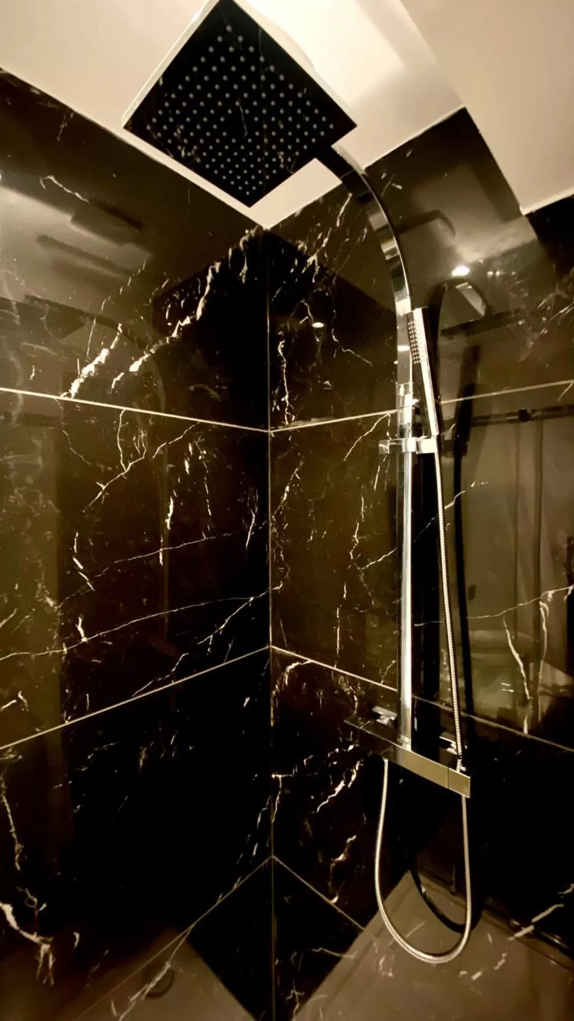 Shower, Bathroom in Le Bras d'or Apparts et Spa