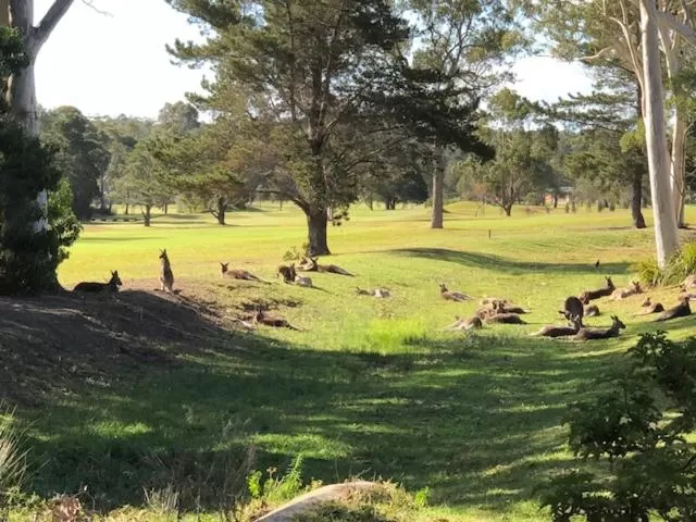 Garden view in Golf View Motel