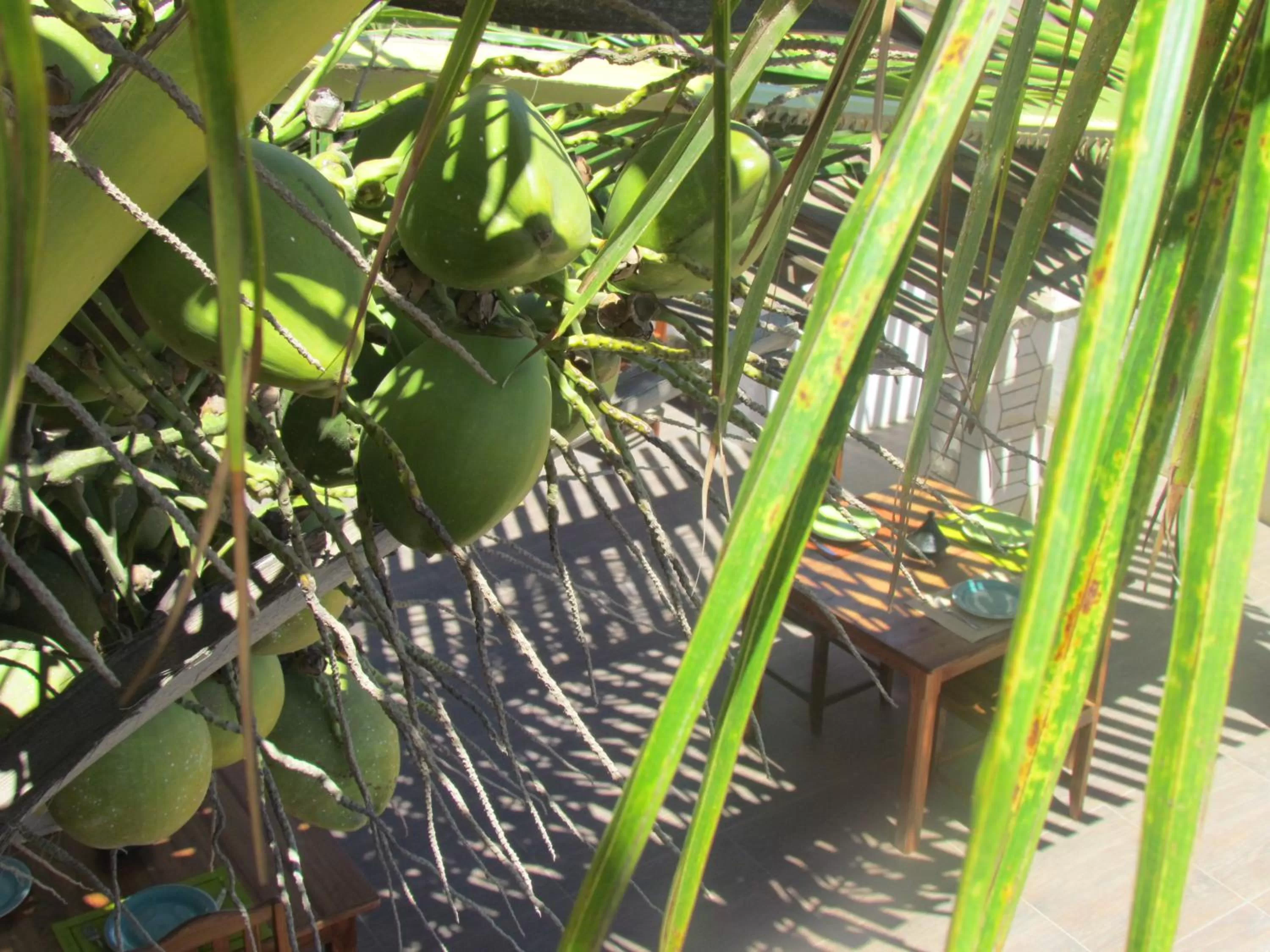 Patio in Bohobé Naboty
