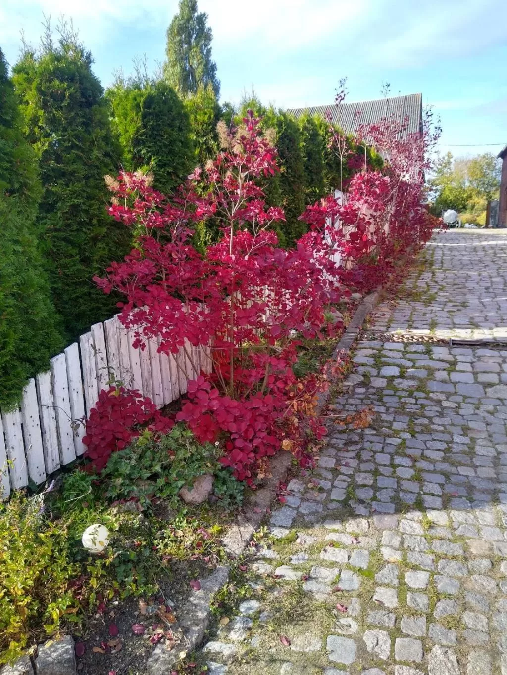 Garden in Zajazd Eljan-Centrum Noclegowe