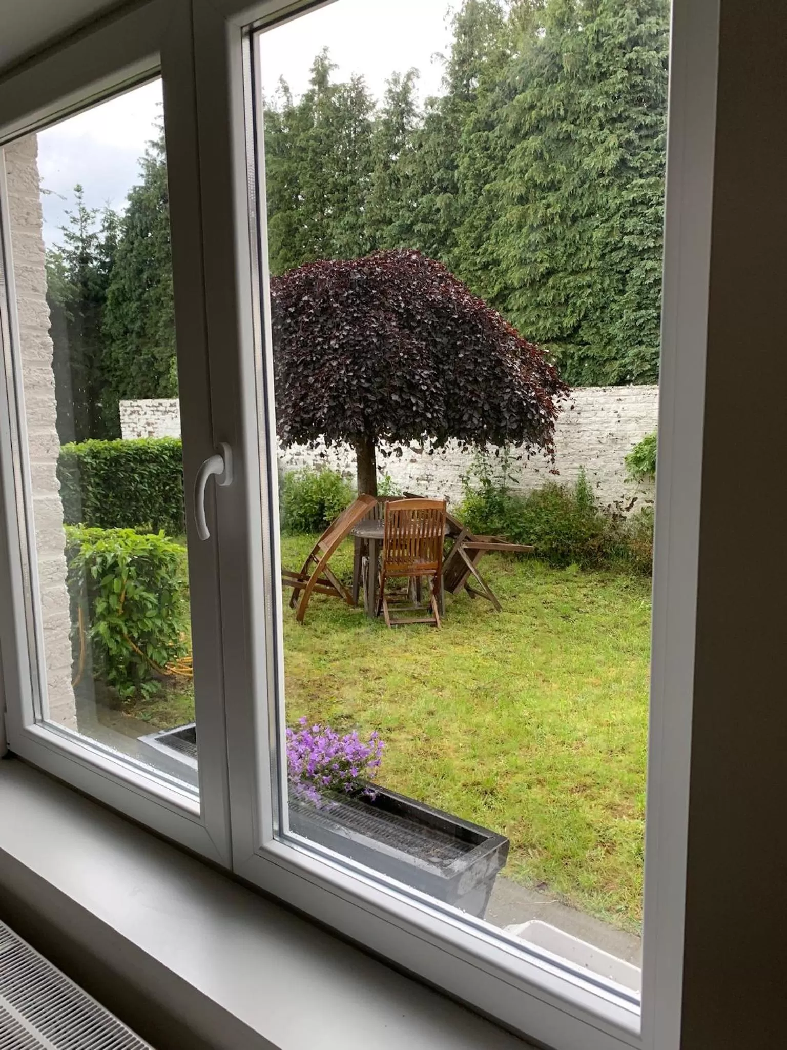 View (from property/room) in Carpe Diem