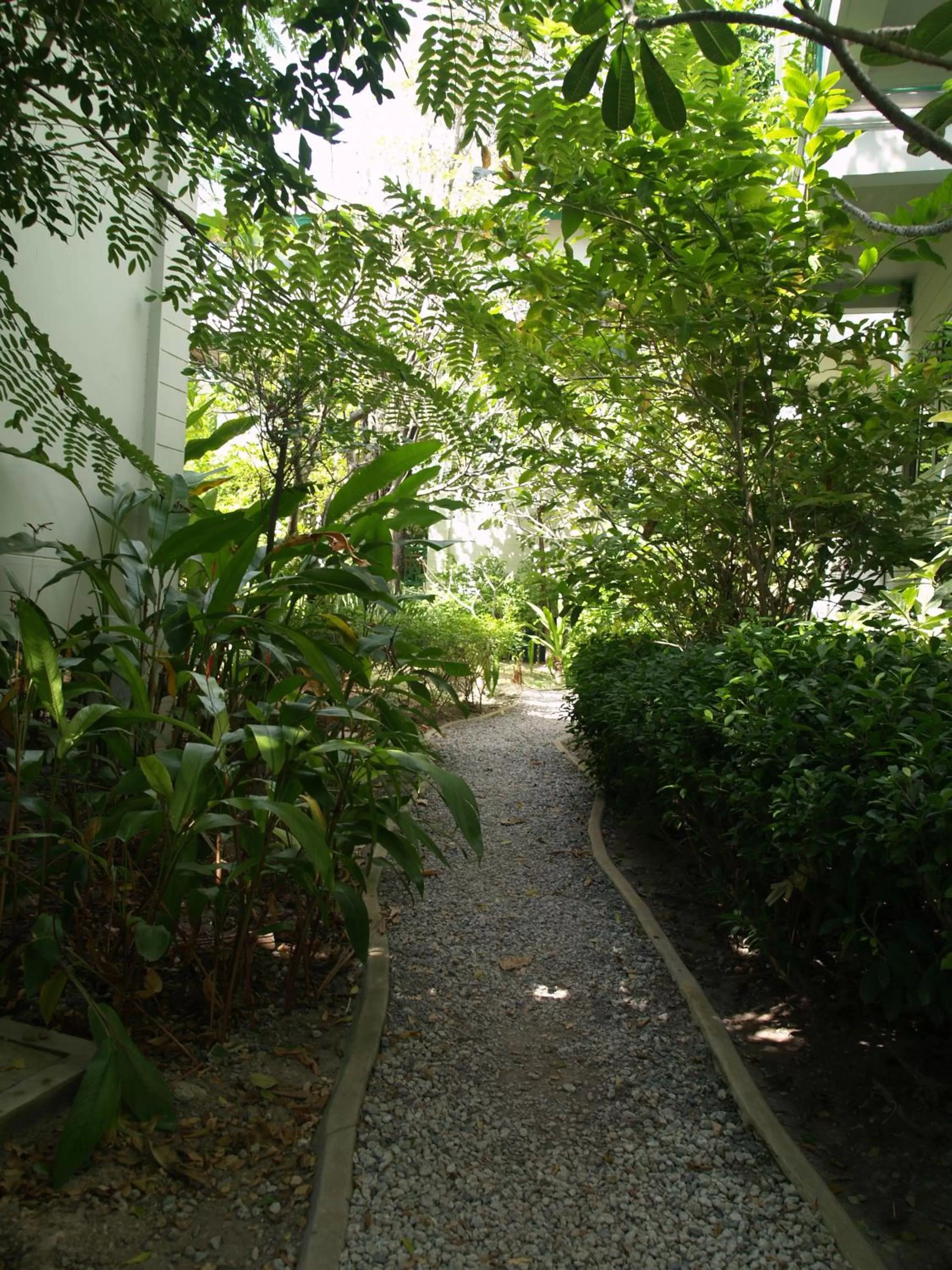 Garden in Makmai Villa - Rayong