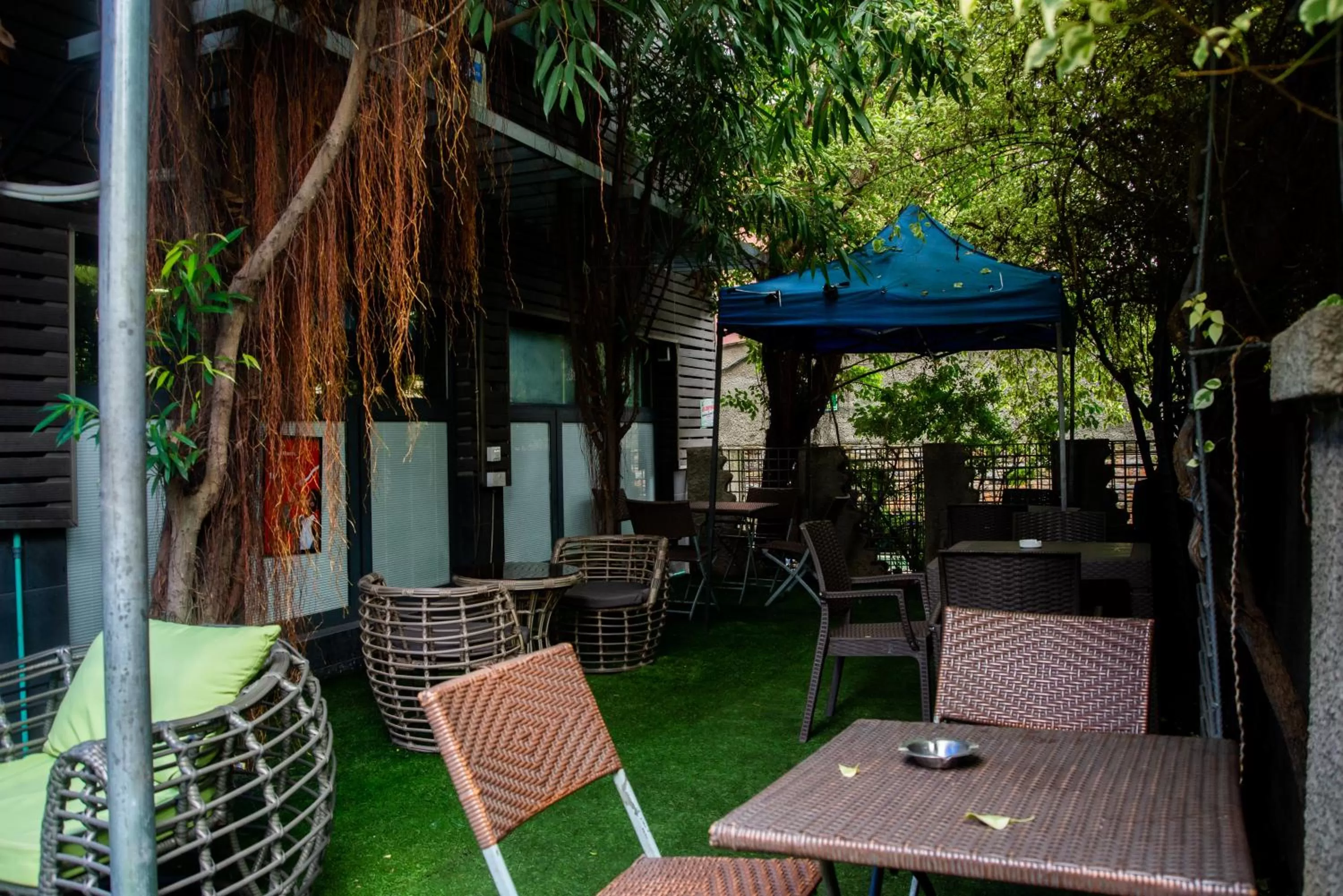 Garden in Sese Cottage