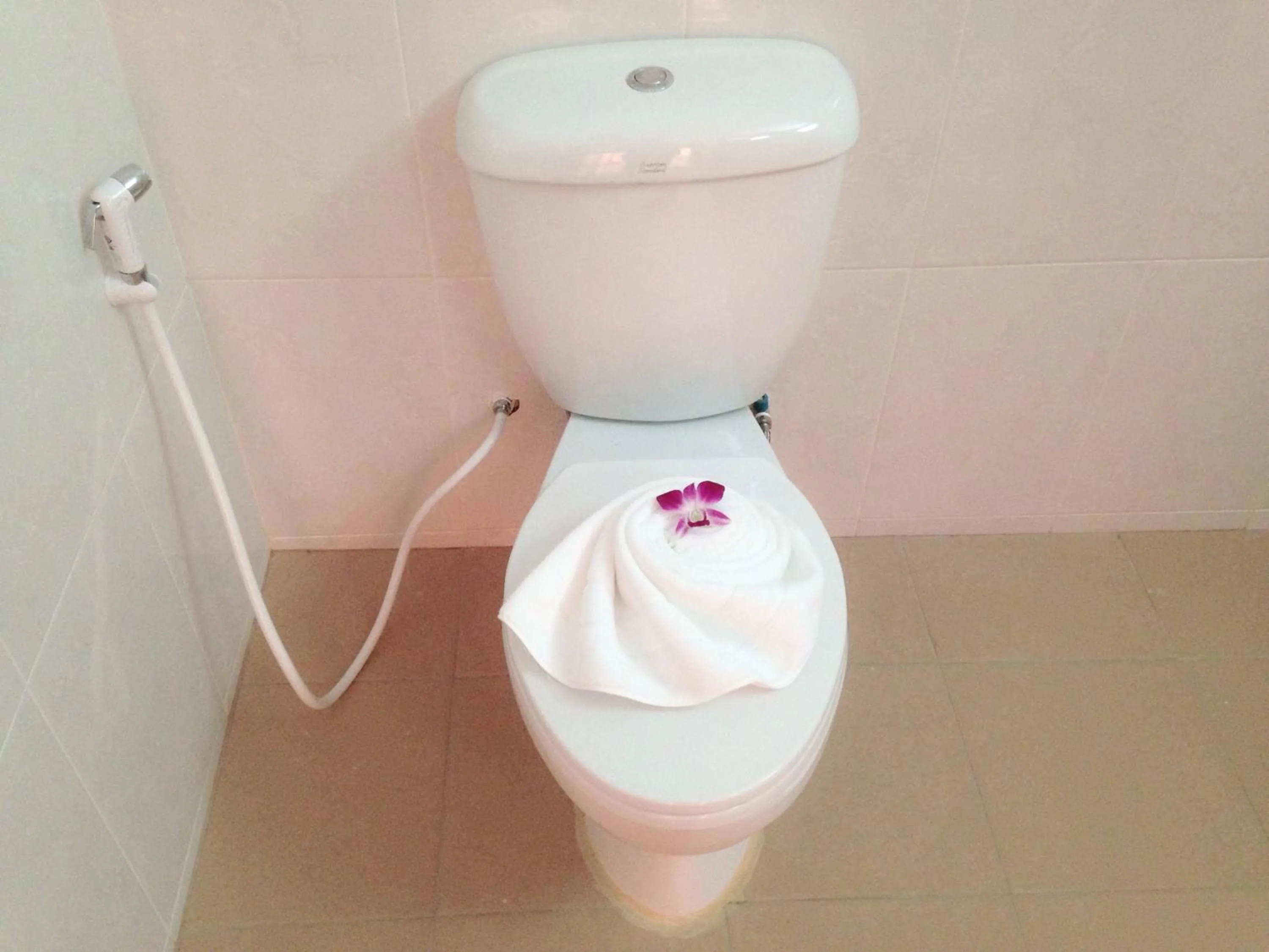 Toilet in Siray House