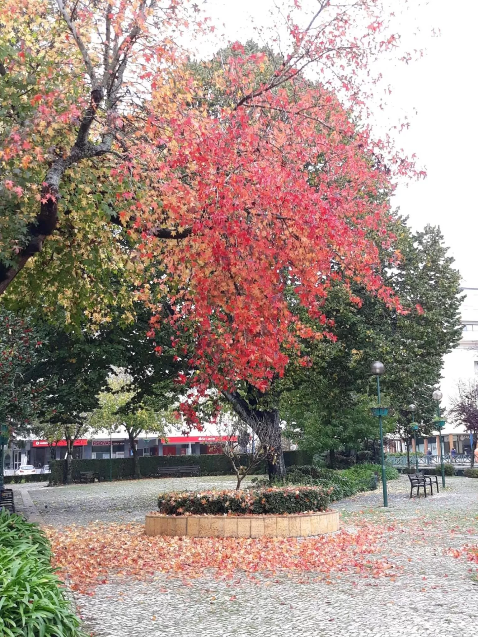 AquaHotel by Aqualeisure