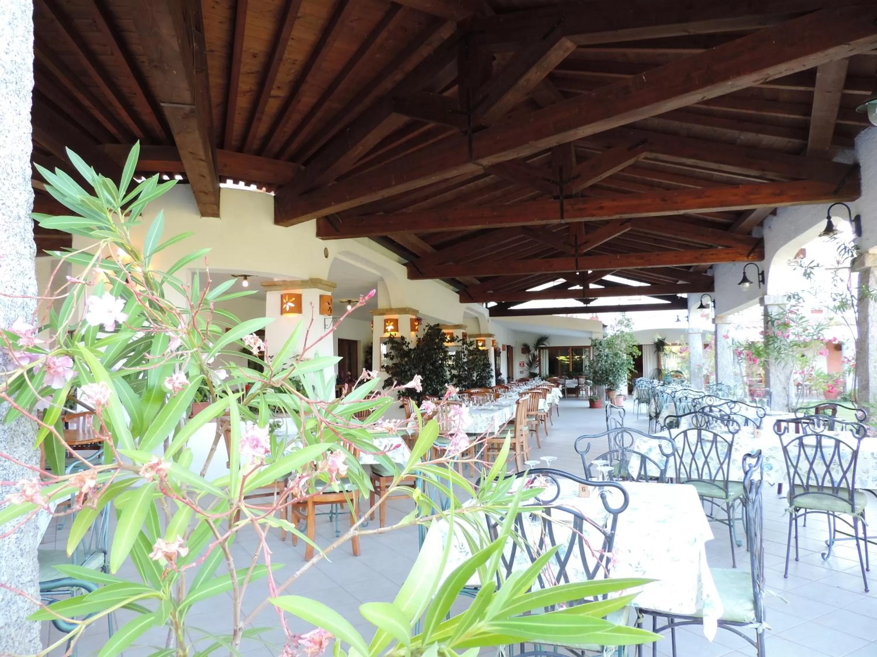 Restaurant/places to eat in Hotel Domu Incantada