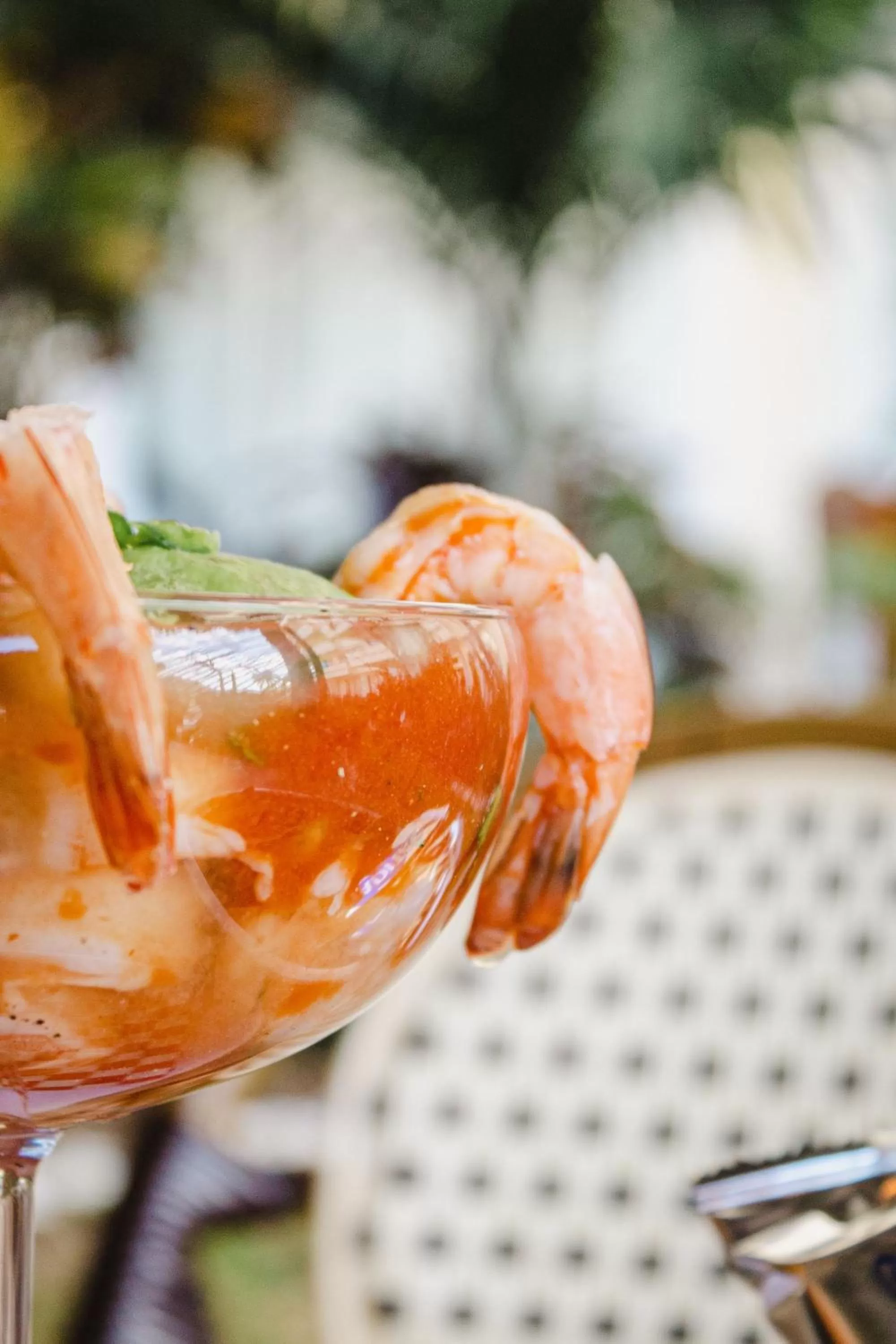 Food and drinks in Ixchel Beach Hotel