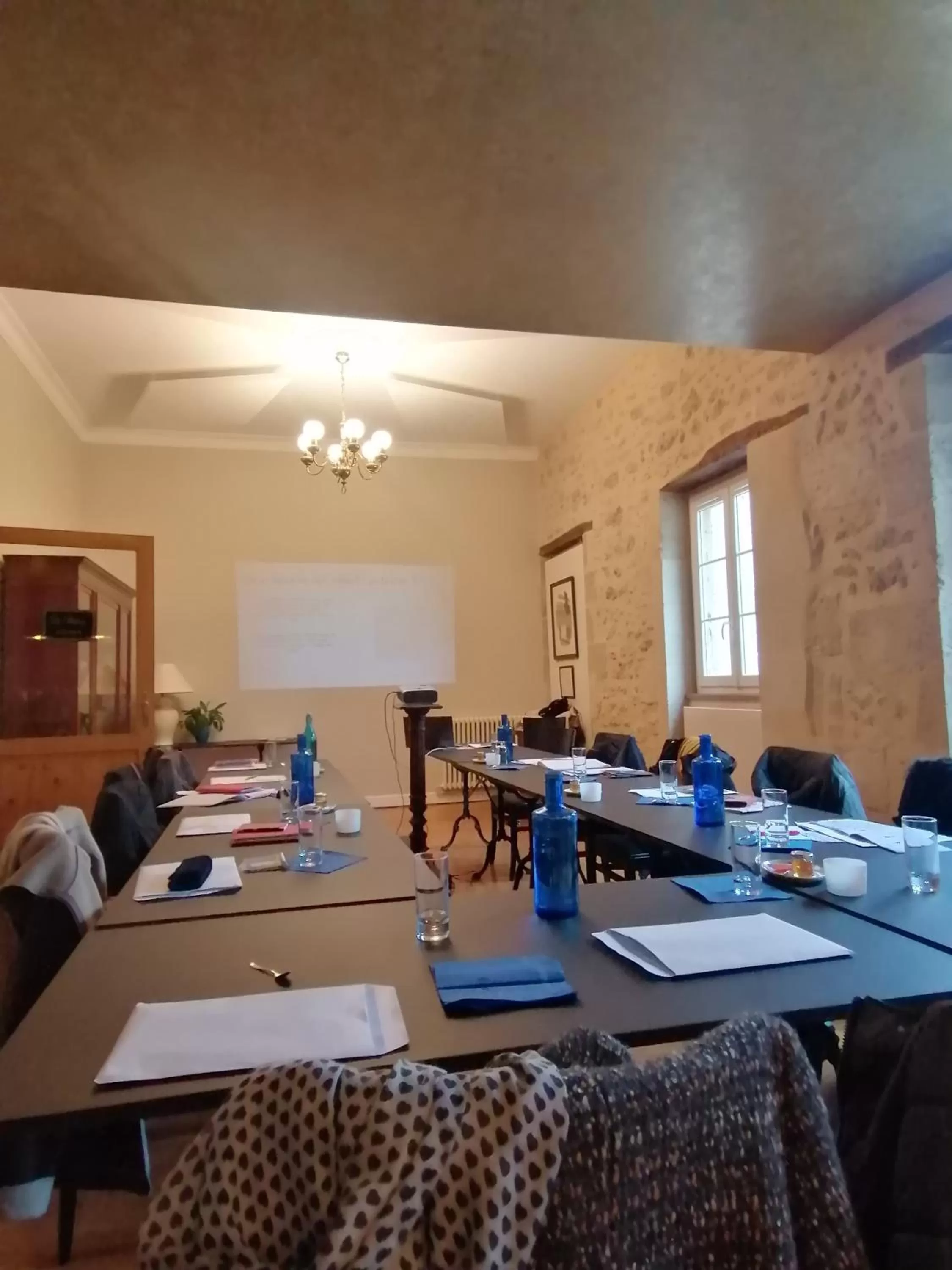 Meeting/conference room, Business Area/Conference Room in Le Rodin Bazas