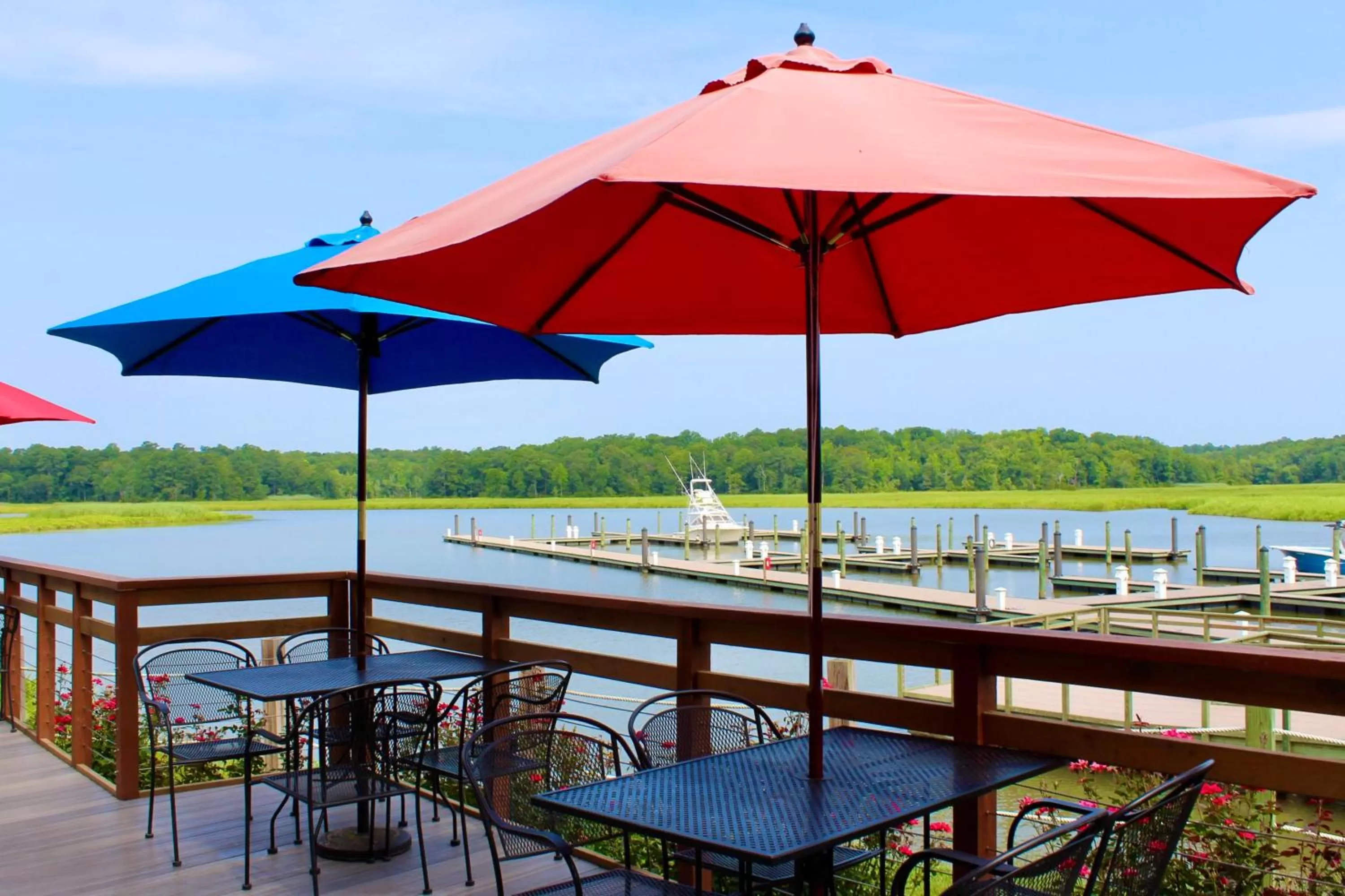 Restaurant/places to eat in Surry Seafood Company