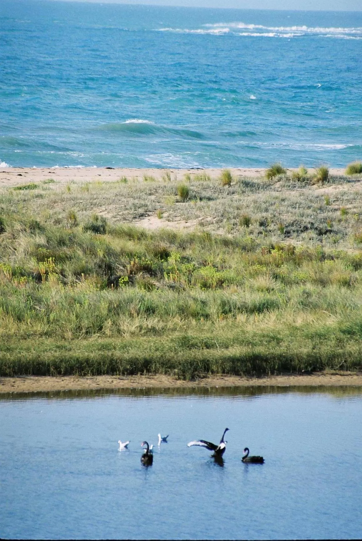 Apollo Bay Guest House