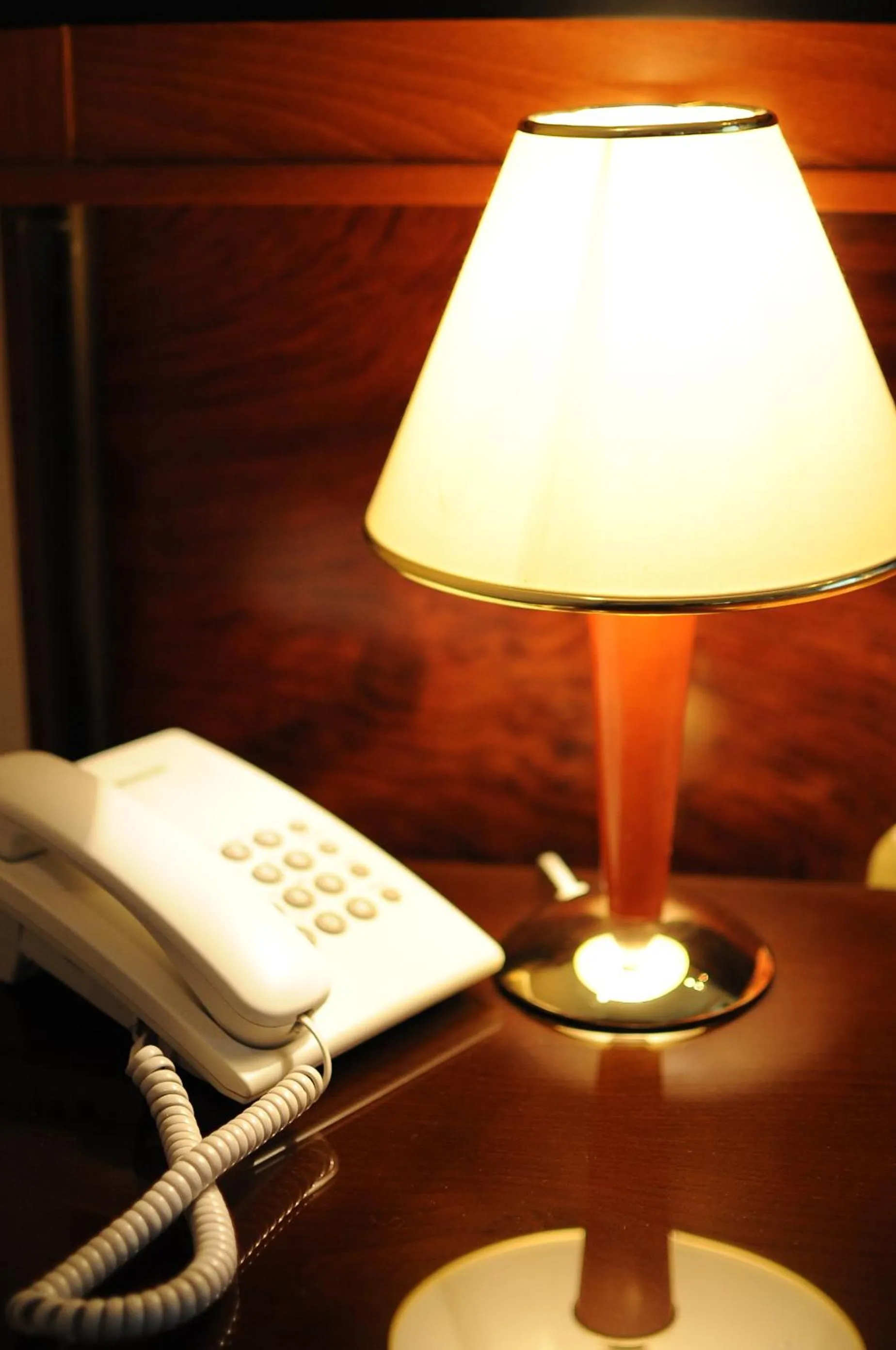 Decorative detail in Millenium Palace