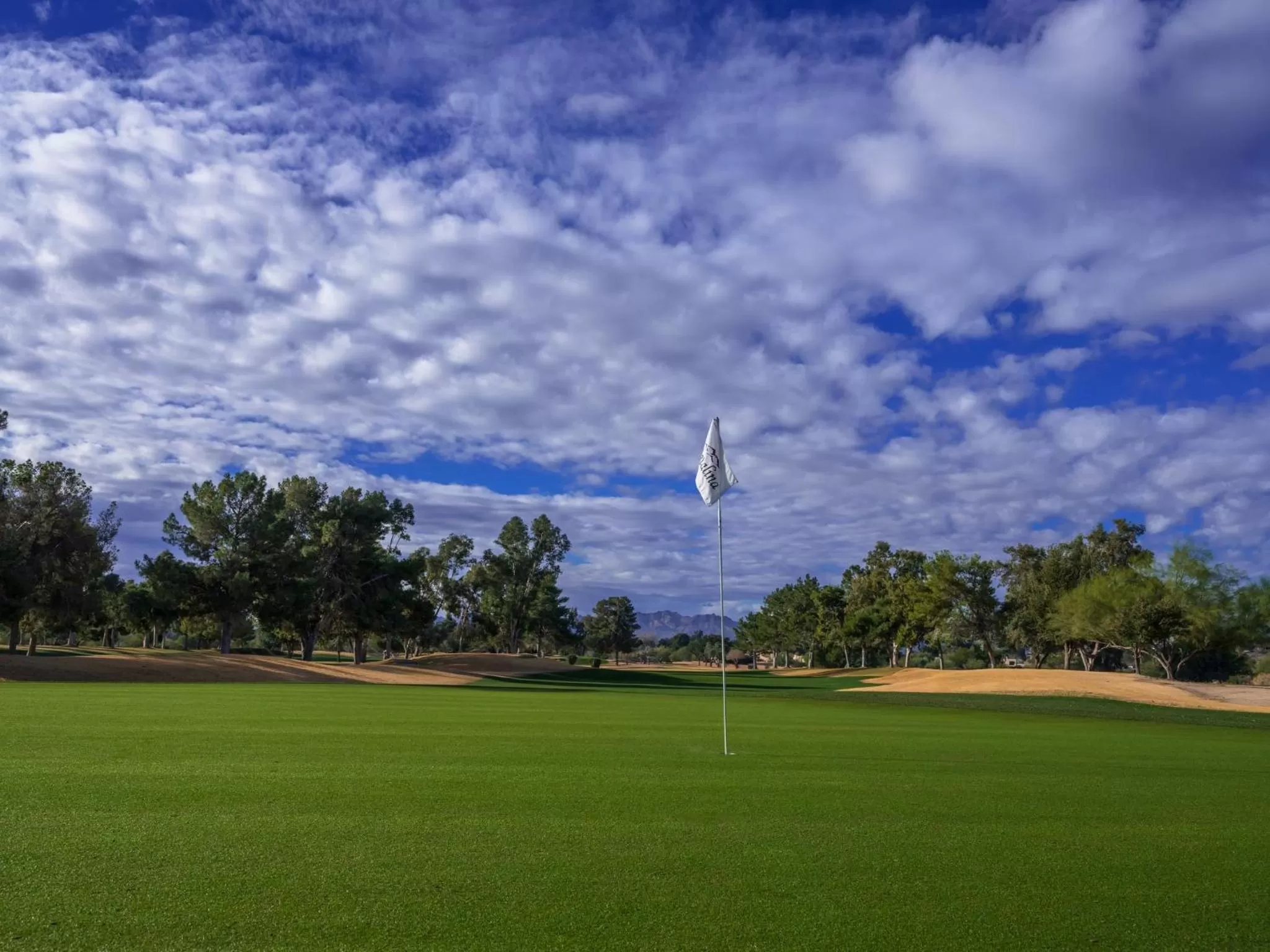 Golfcourse in Omni Tucson National Resort & Spa