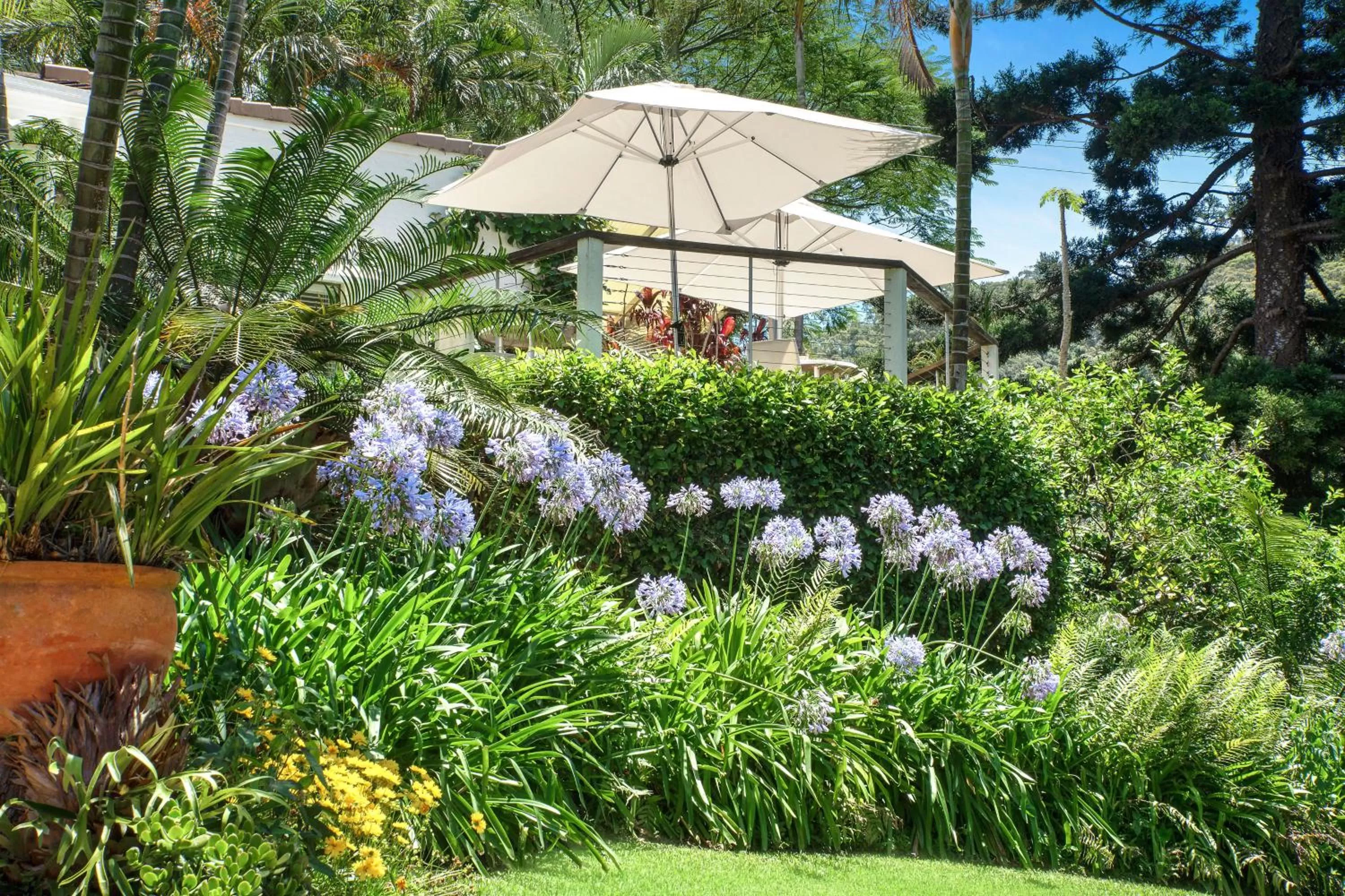 Garden in Sensom Luxury Boutique Bed and Breakfast