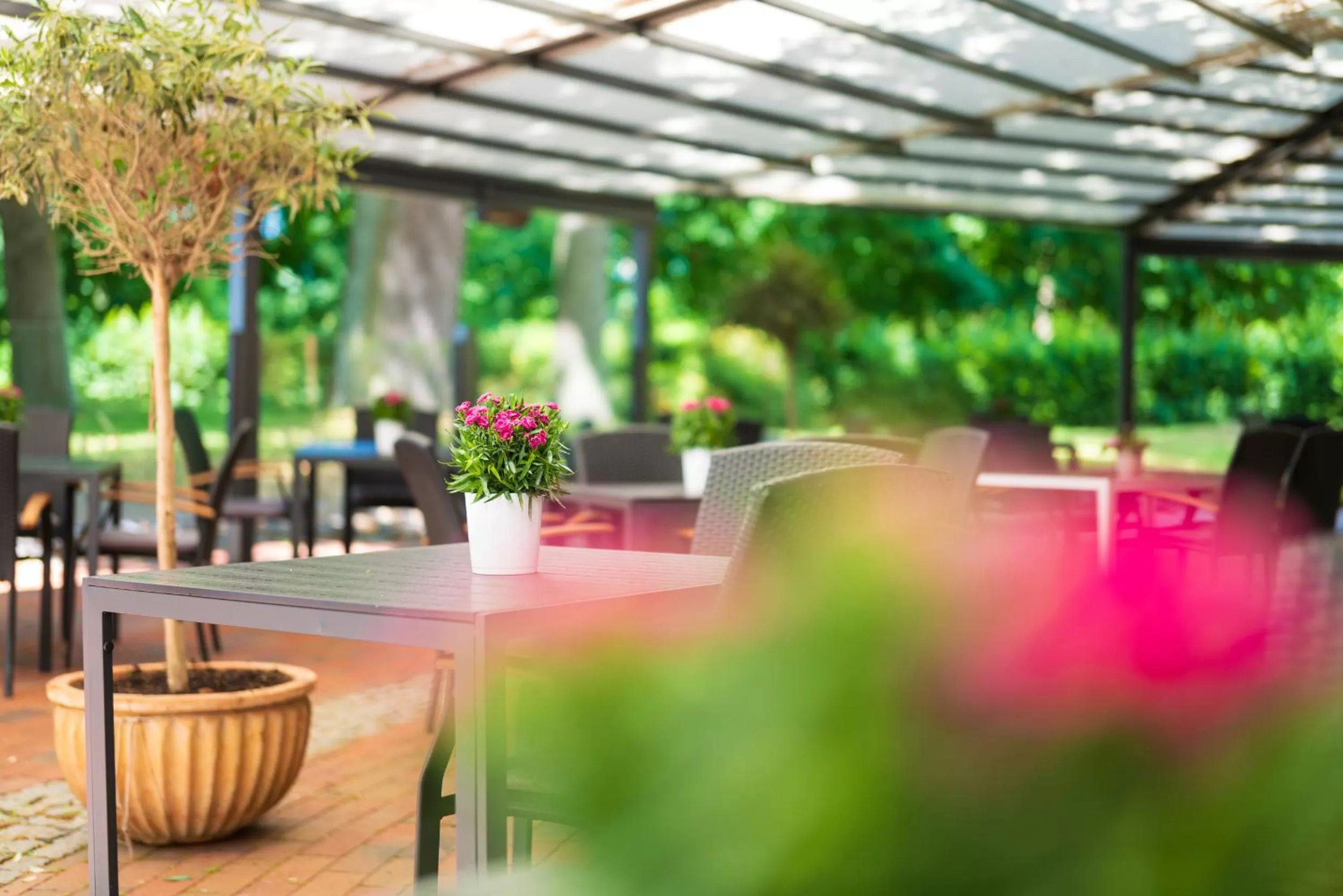 Restaurant/places to eat in Kurhaus am Inselsee