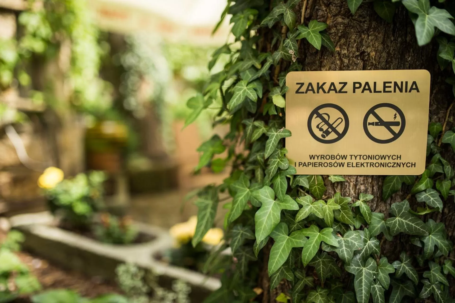 Activities in Hotel Ambasada Bolesławiec