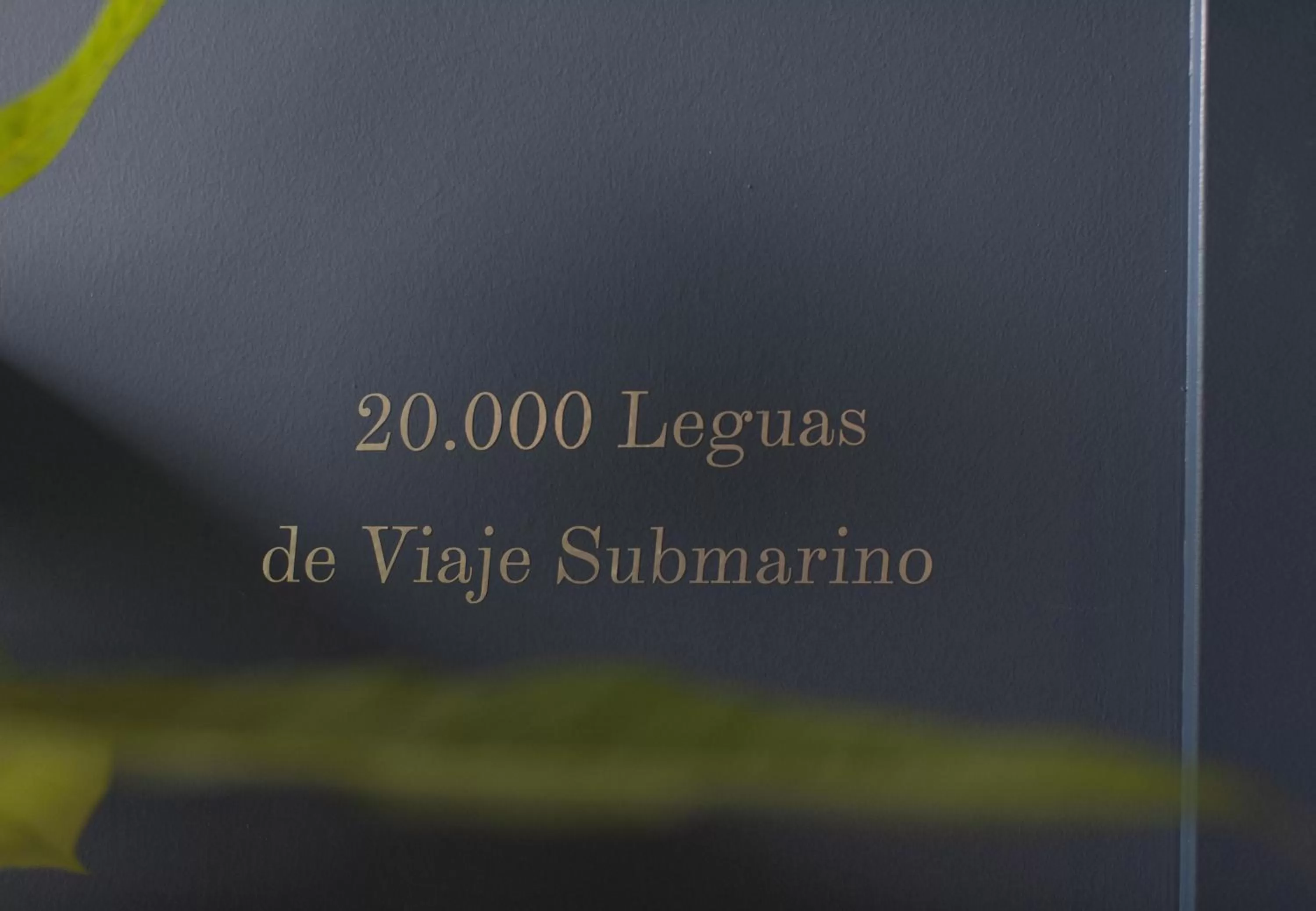 Decorative detail in Hotel Mi Norte