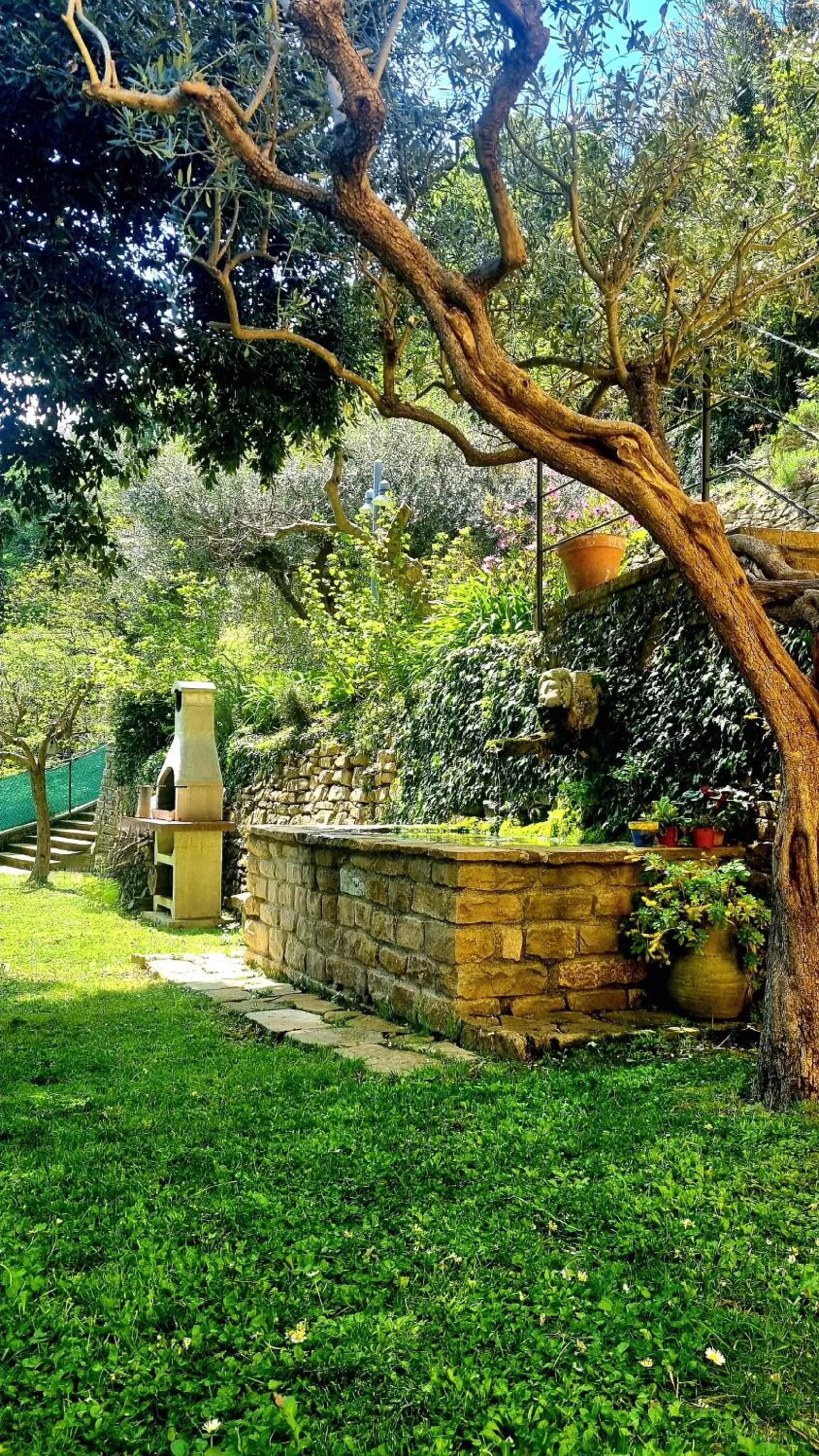 Garden in Fontecorona Bed and Breakfast