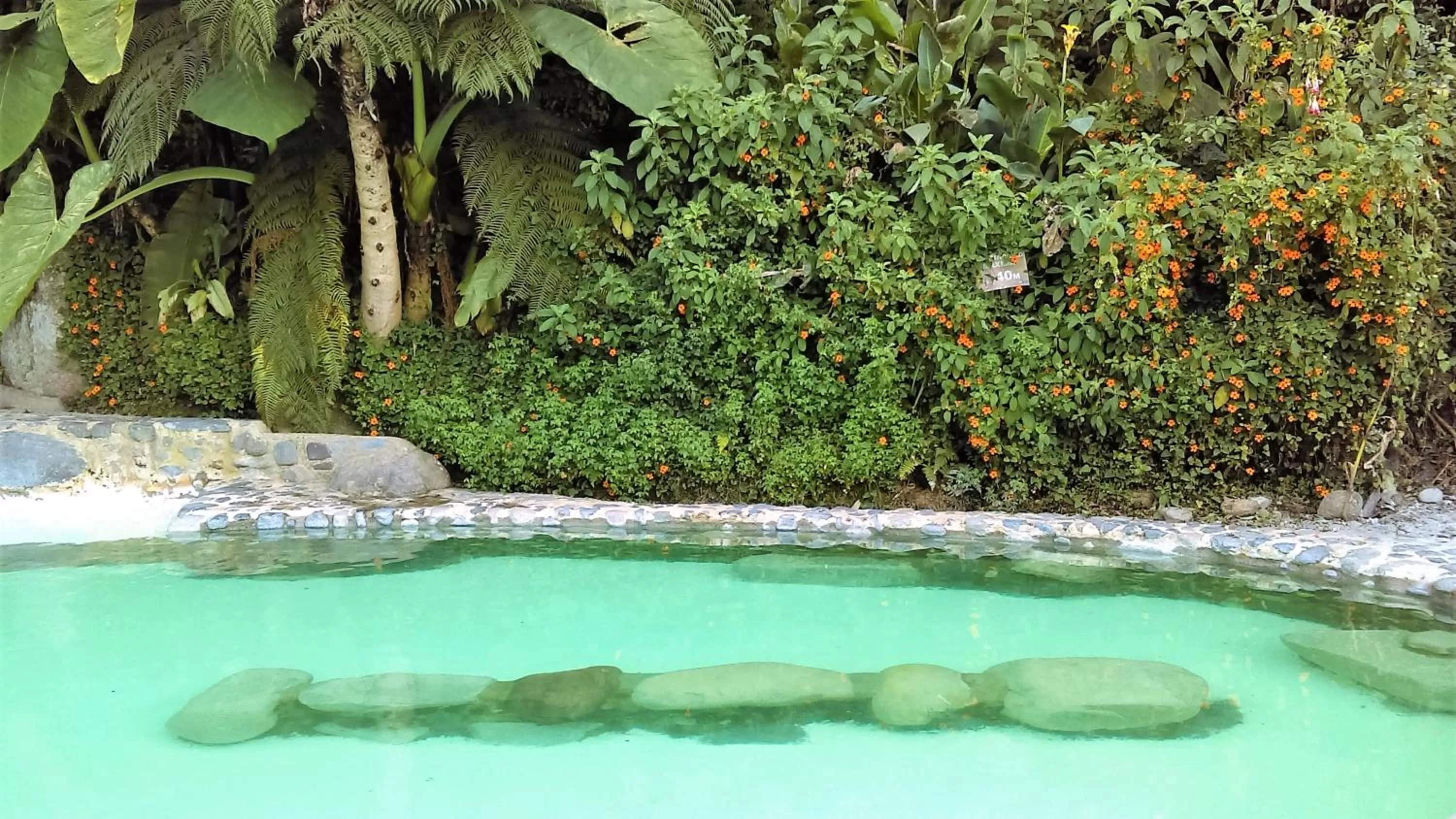 Natural landscape in Hotel Termales Tierra Viva