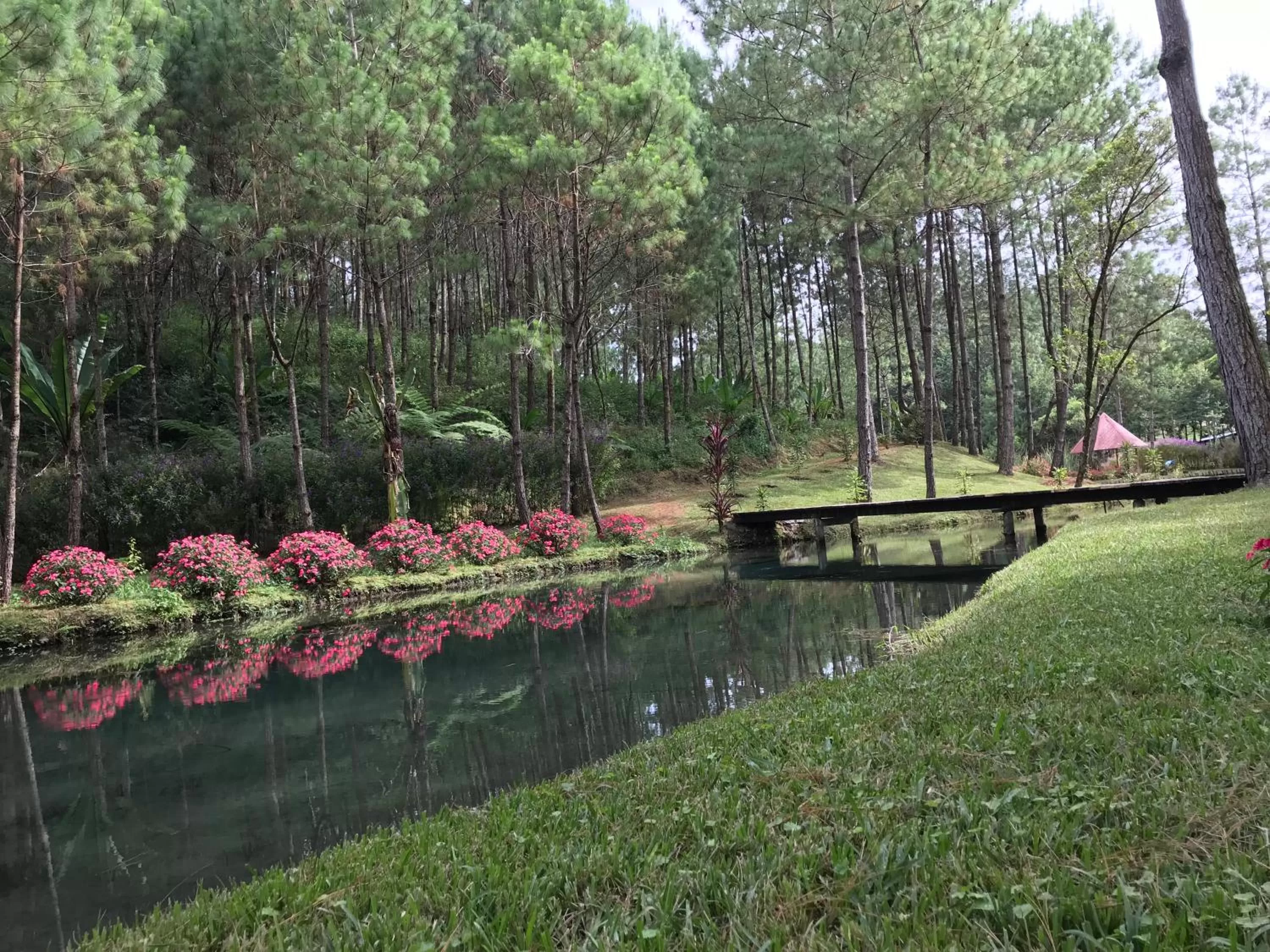 Fishing in Hotel en Finca Chijul, reserva natural privada