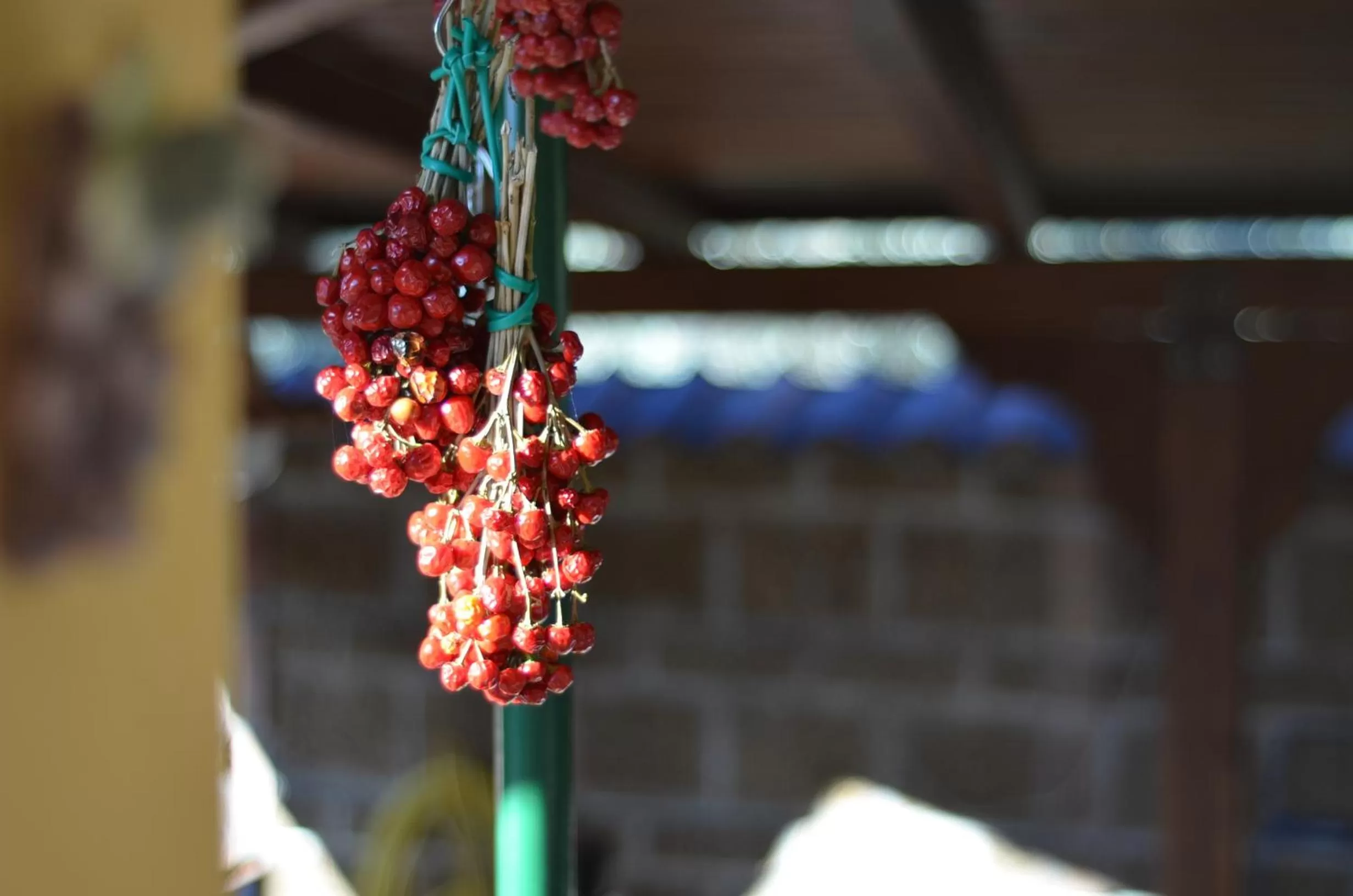 Decorative detail in La Magnolia B&B