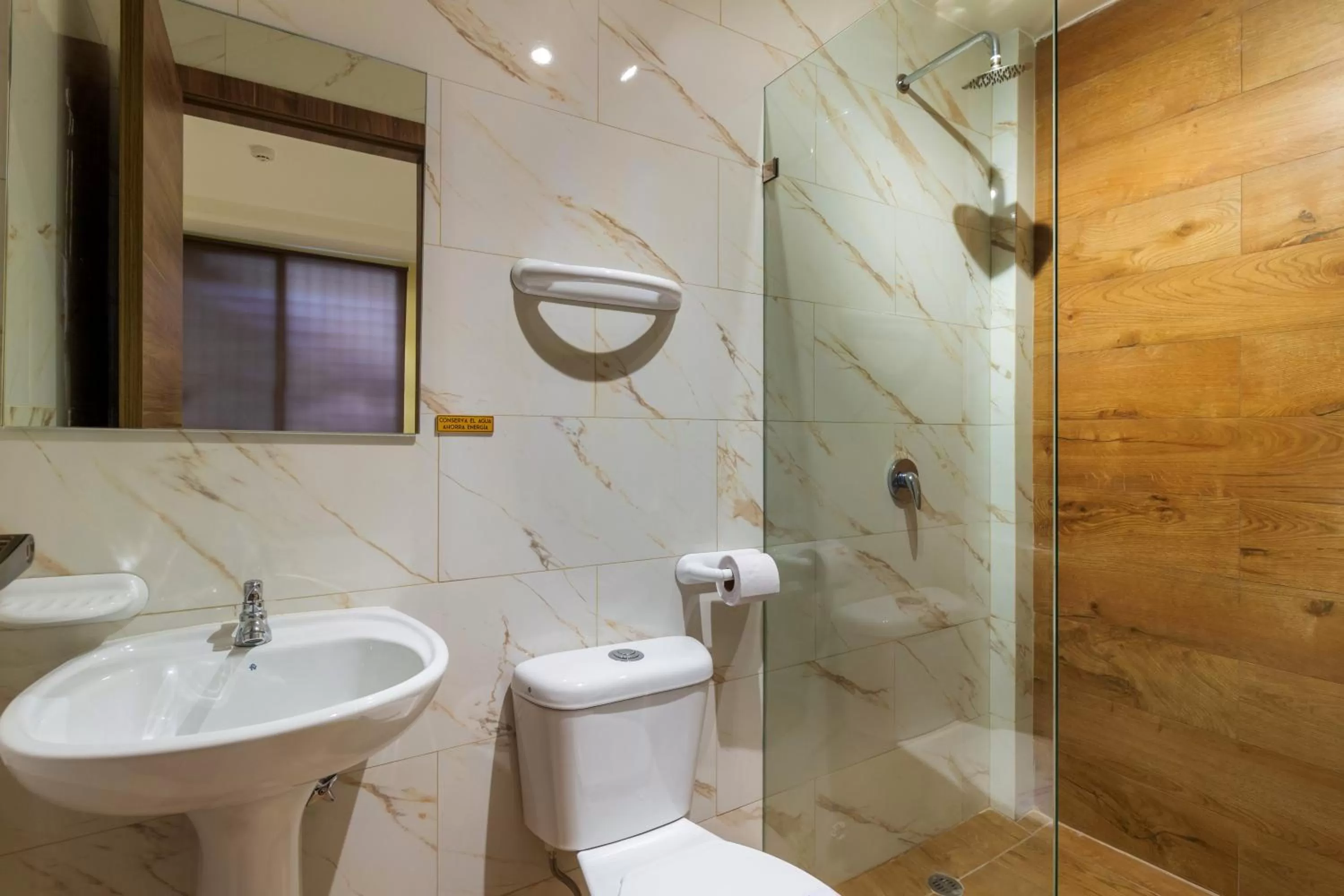 Shower in Hotel Sada