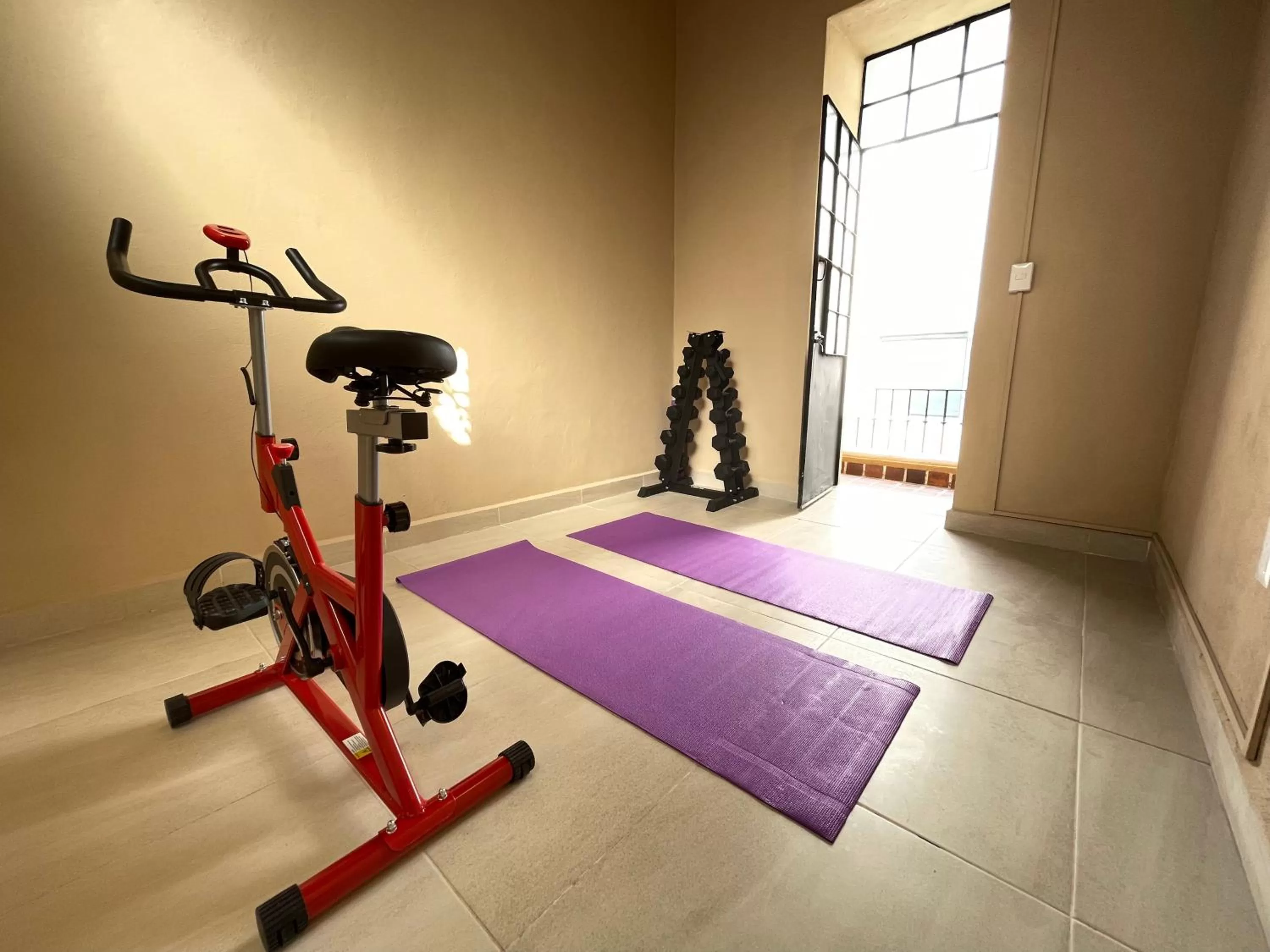 Fitness centre/facilities in Colmena Hotel CDMX Centro