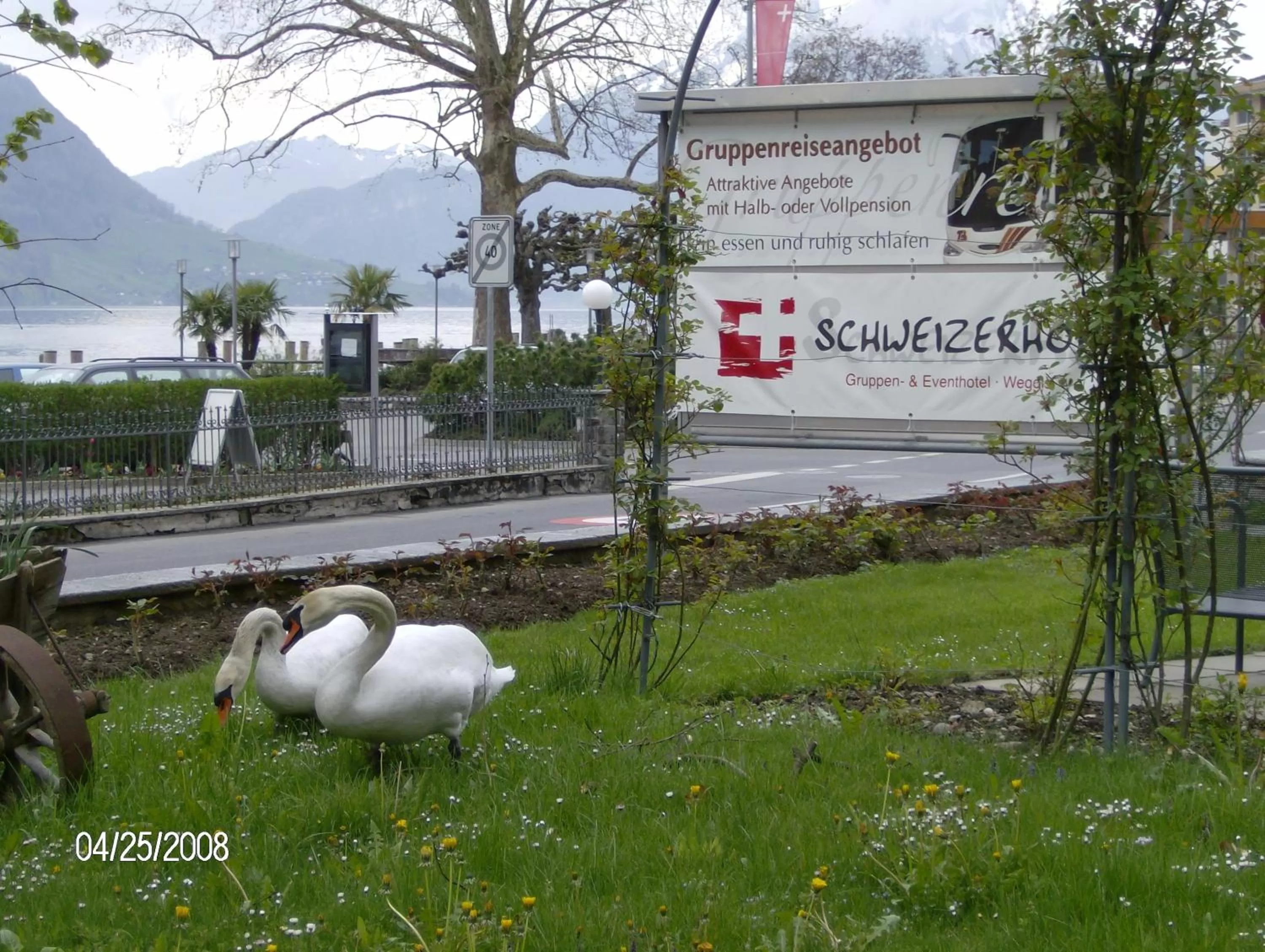 Garden in Hotel Schweizerhof