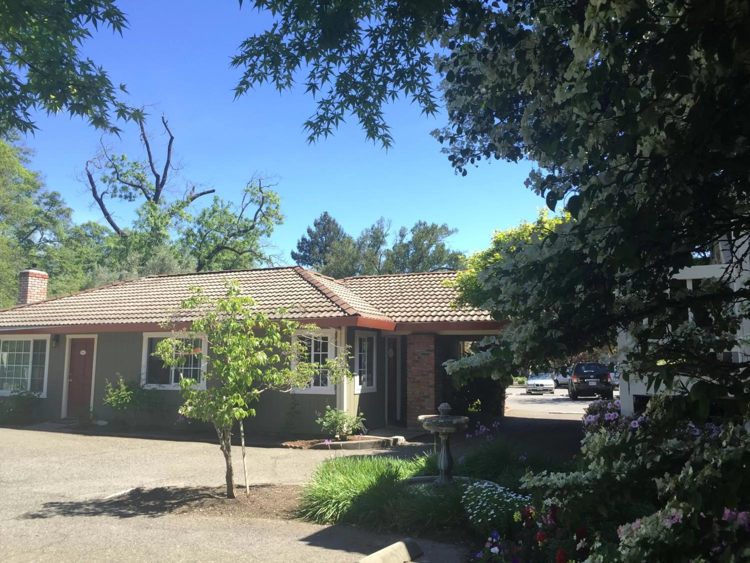 Property building in The Jack London Lodge