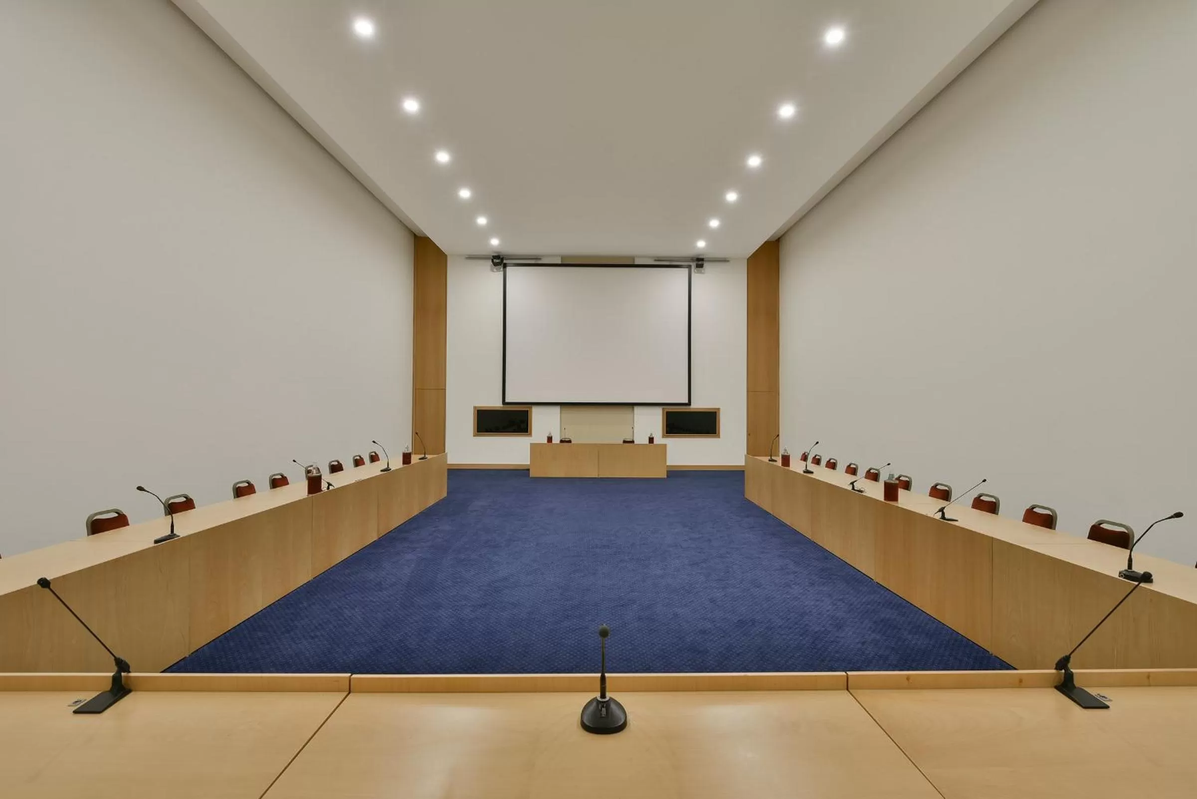 Business facilities in Hotel Ariston