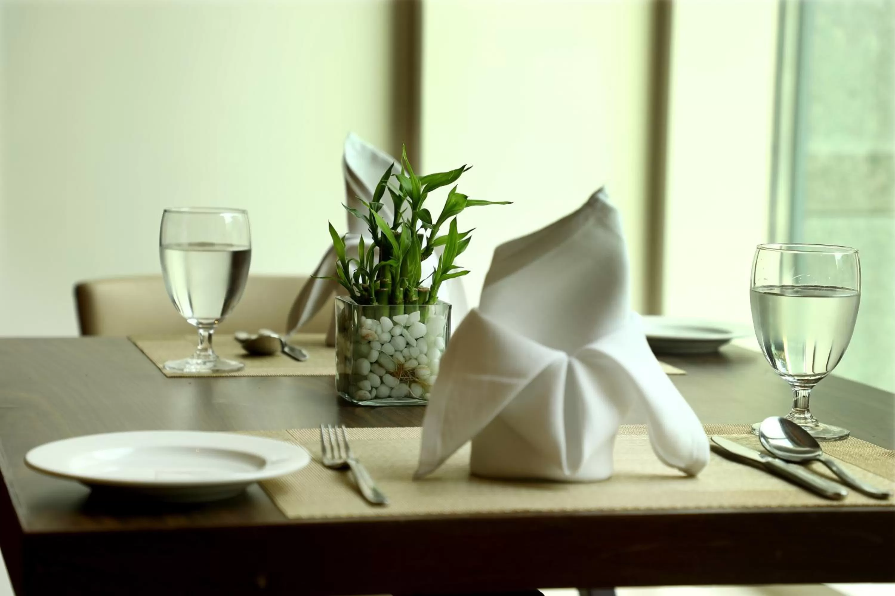 Food and drinks in Ramada Plaza Chennai