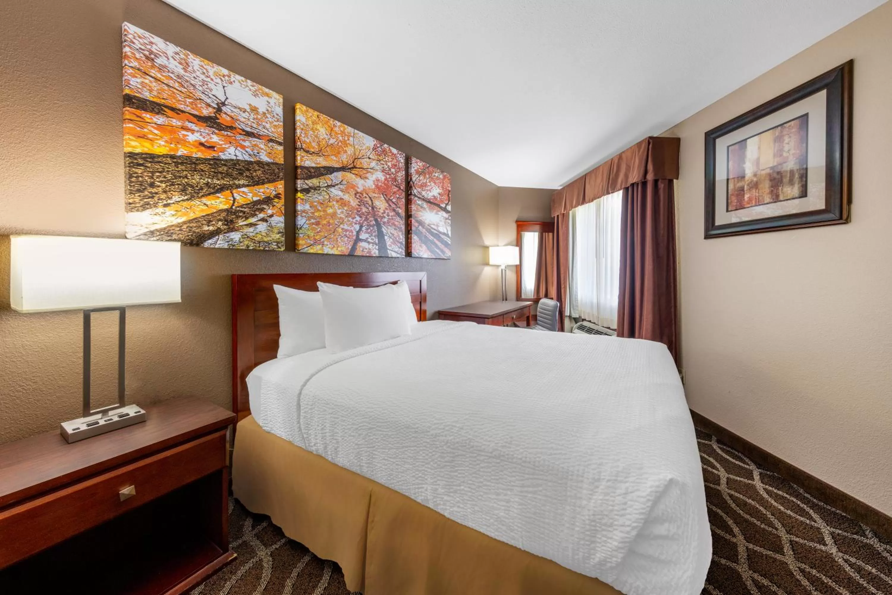 Photo of the whole room, Bed in Days Inn by Wyndham St. Robert Waynesville/Ft. Leonard Wood