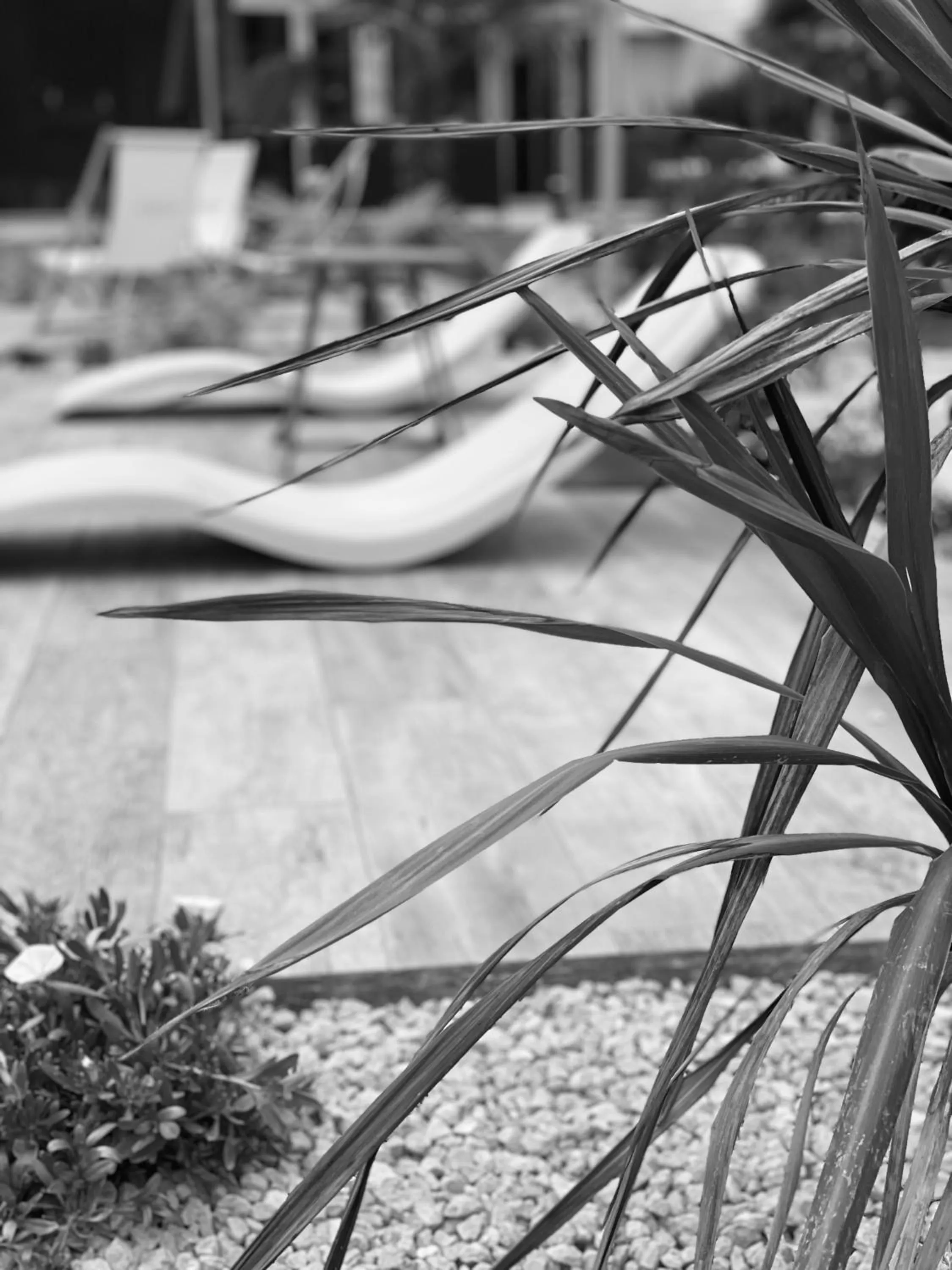 Day in Novotel Pau Pyrénées