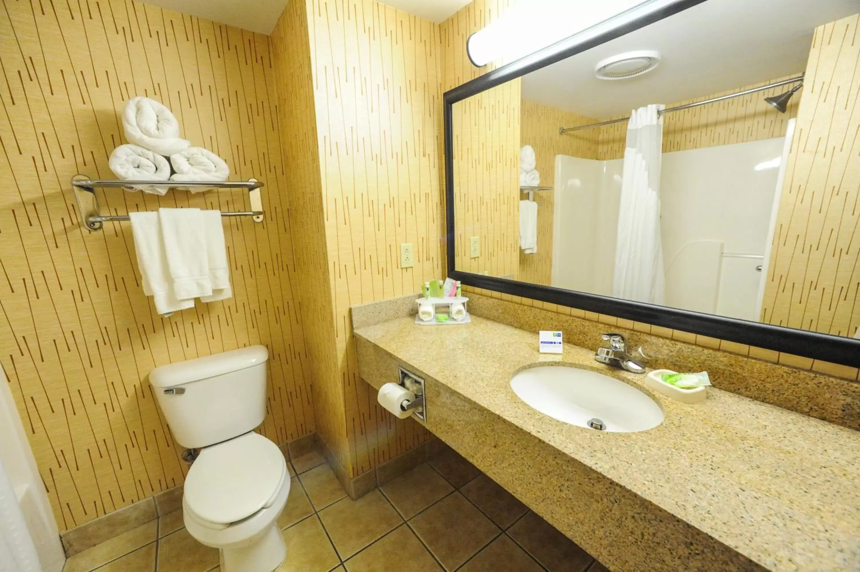 King Suite with Hearing Accessible Tub - Non-Smoking in Holiday Inn Express Hotel & Suites Bowling Green by IHG King Suite with Hearing Accessible Tub - Non-Smoking in Holiday Inn Express Hotel & Suites Bowling Green by IHG