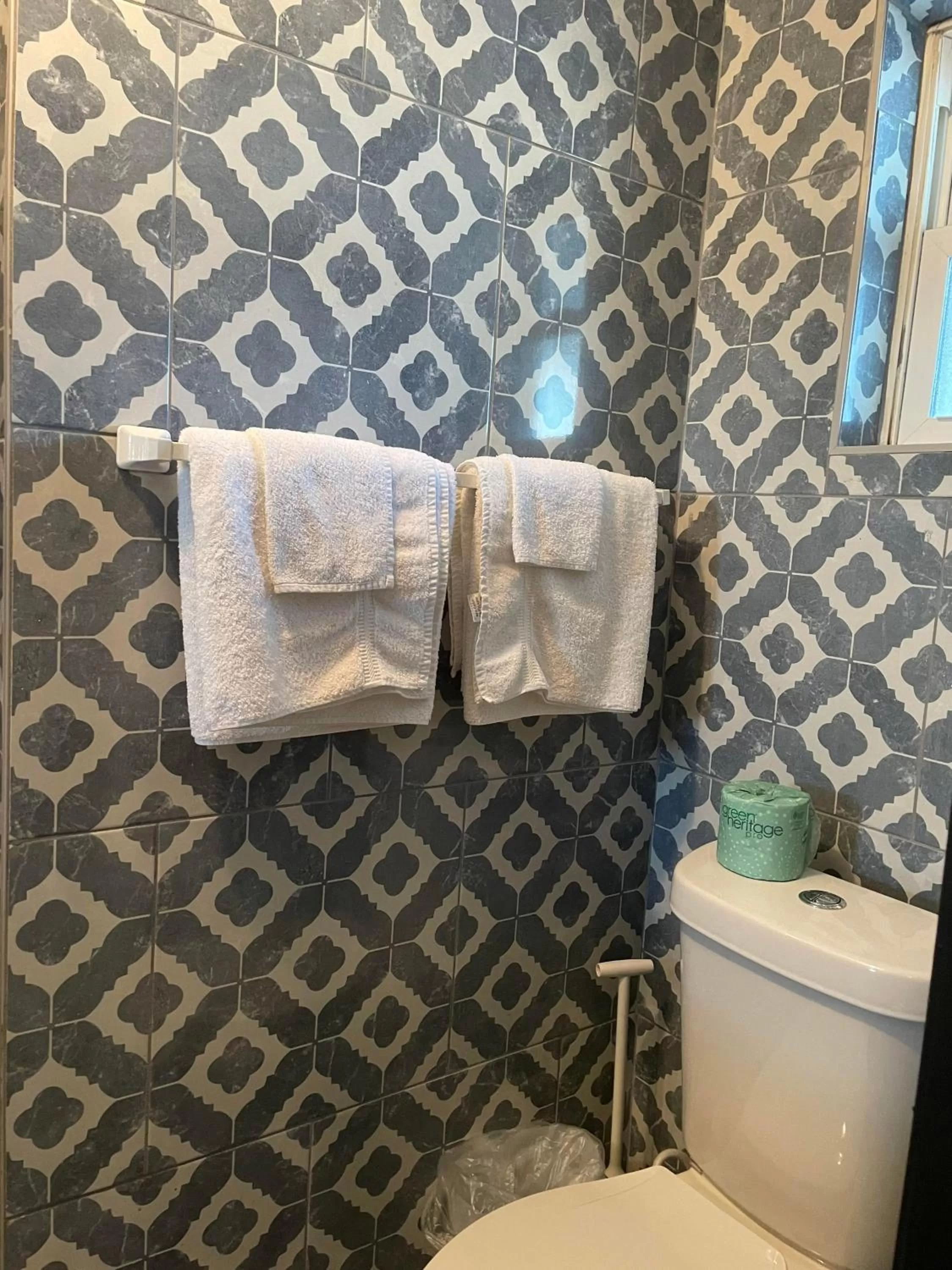 Bathroom in Carole Motel