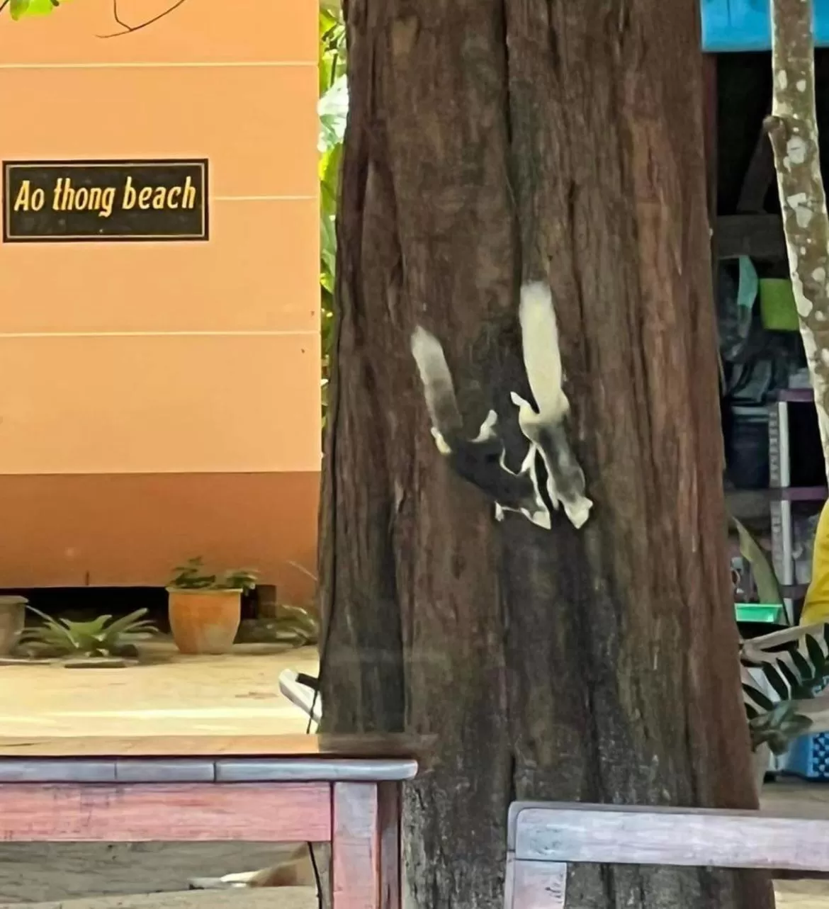 Ao Thong beach Resort