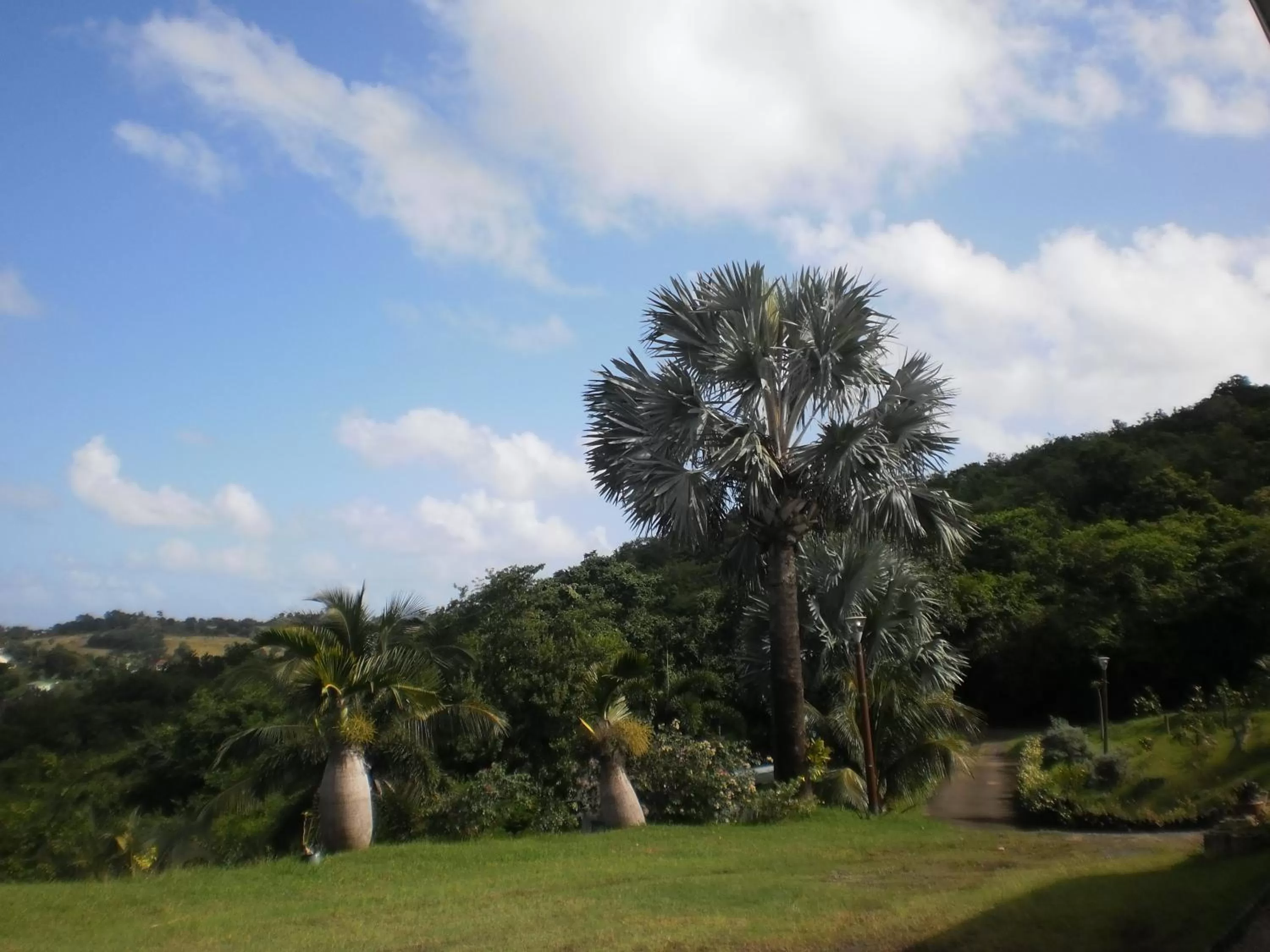 Mountain view, Garden in Bed and breakfast Riviere