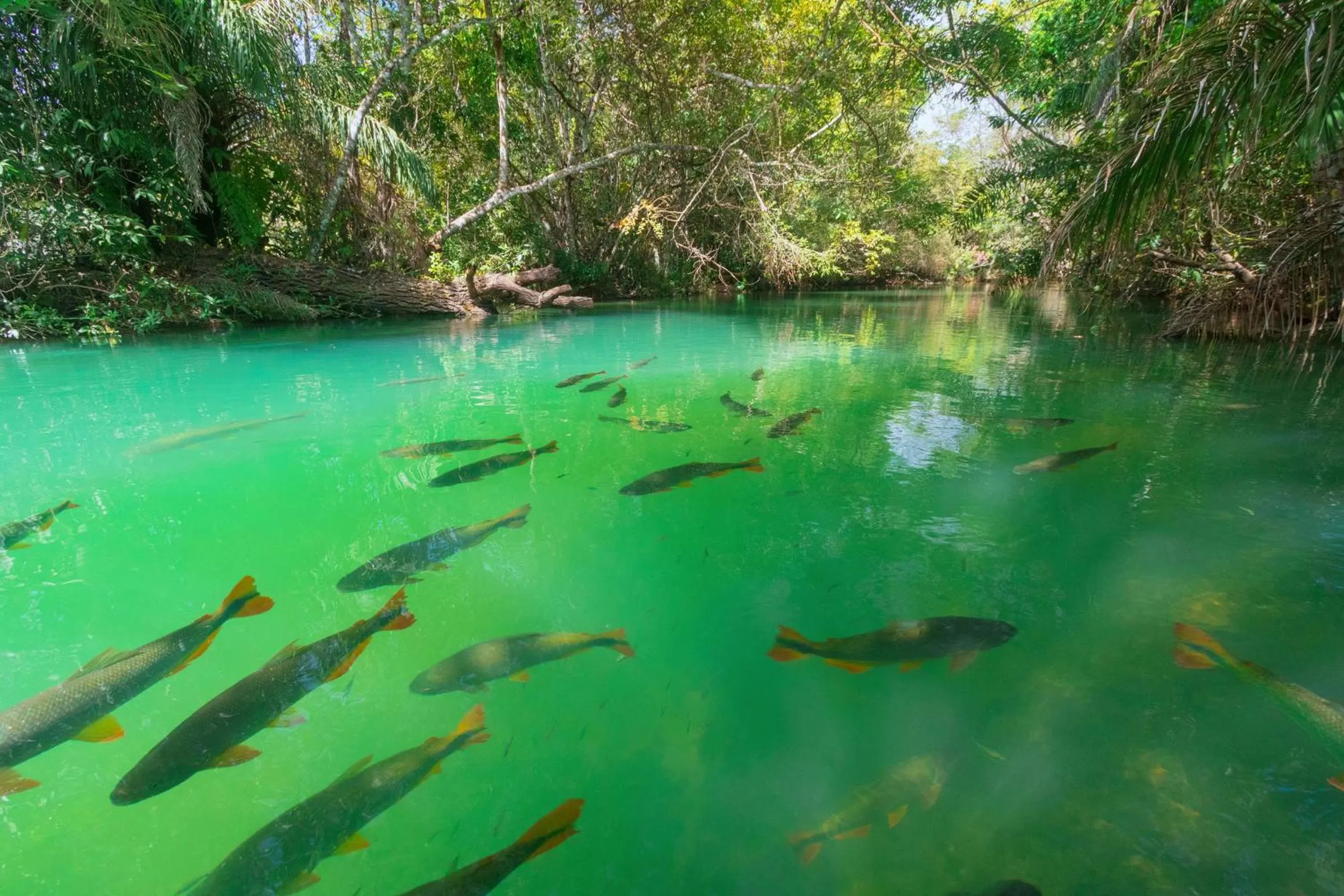Natural landscape in Hotel Santa Esmeralda