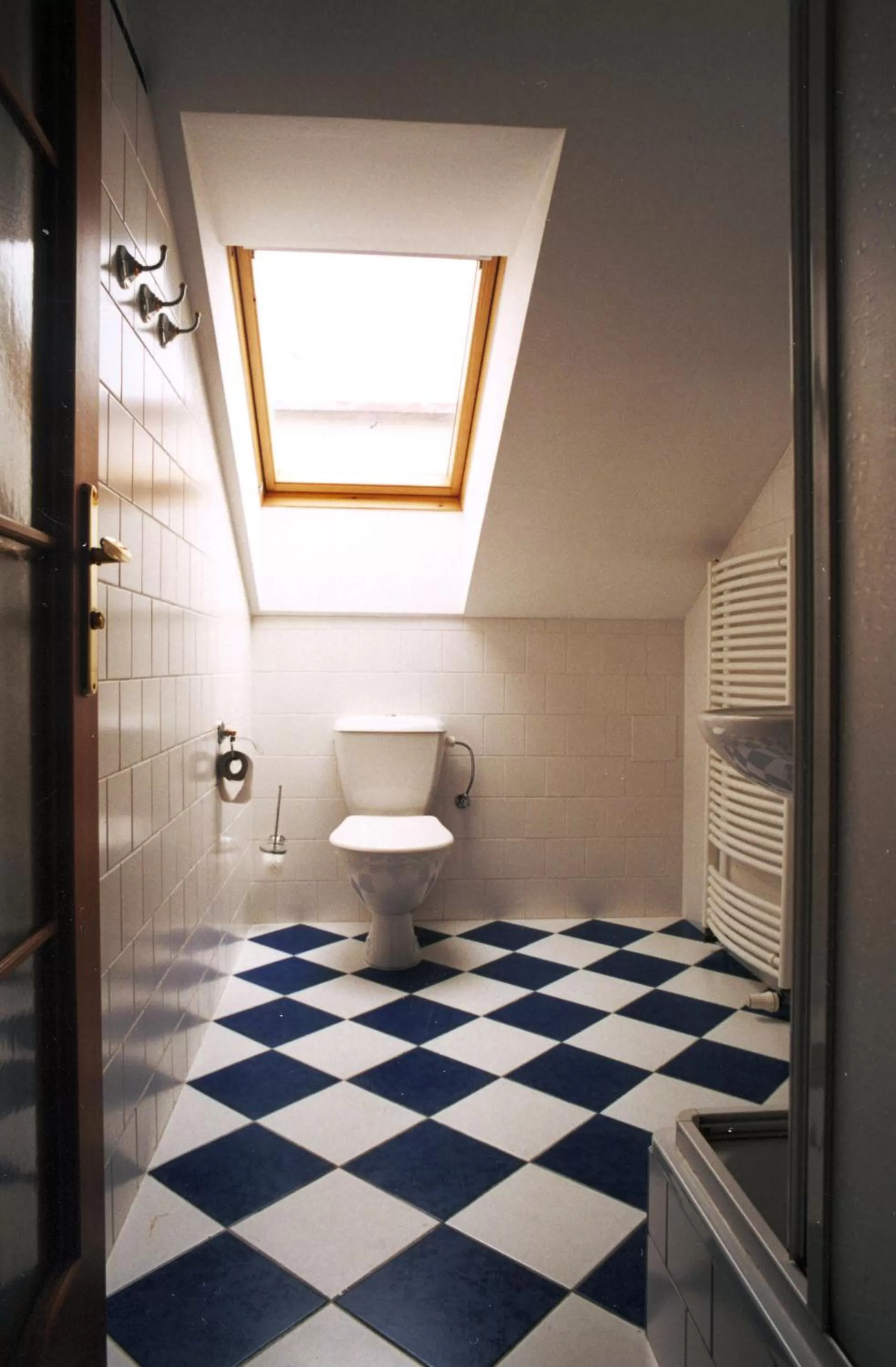 Toilet in Brezina Pension