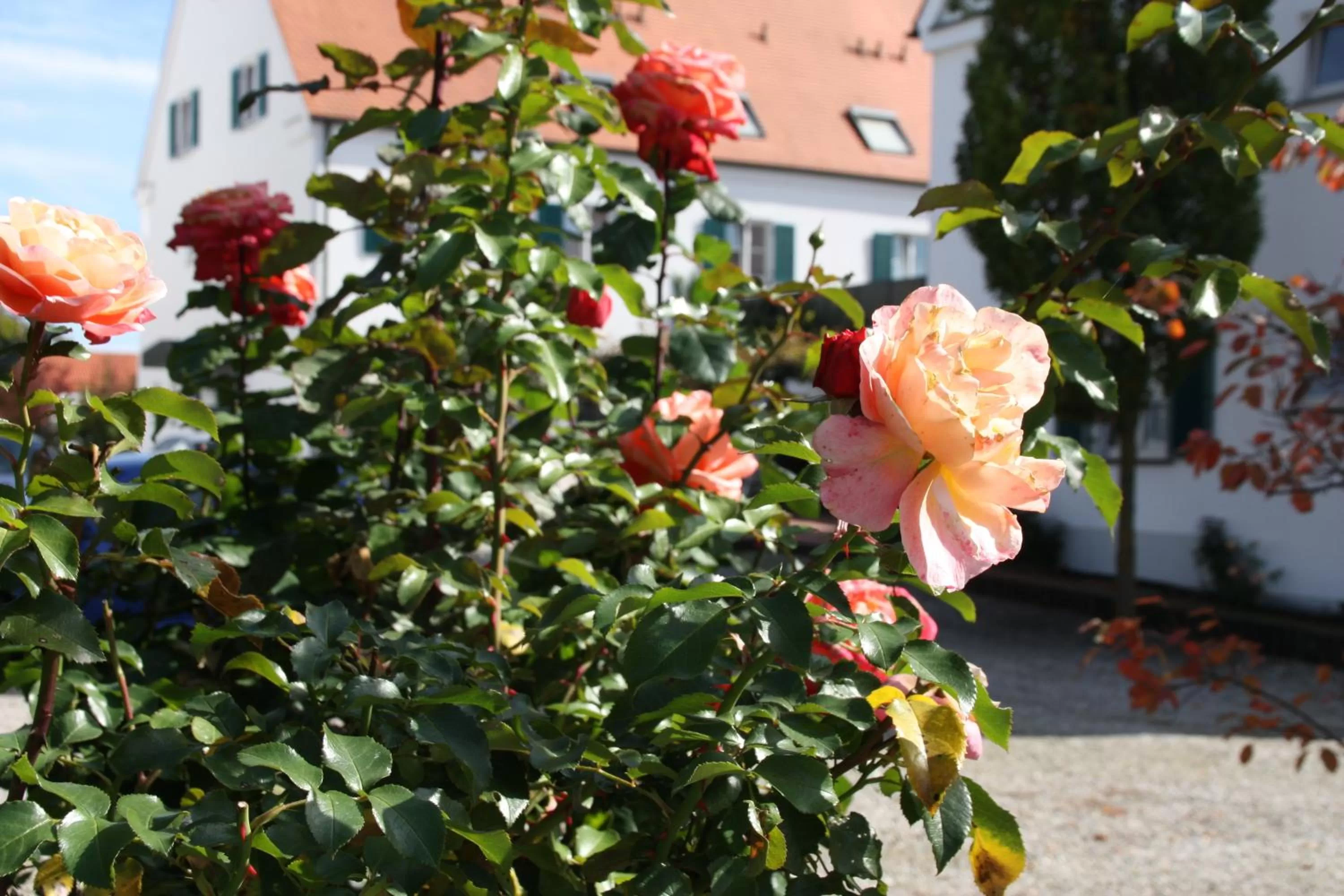 Garden in Hotel Gasthaus Wangerhof