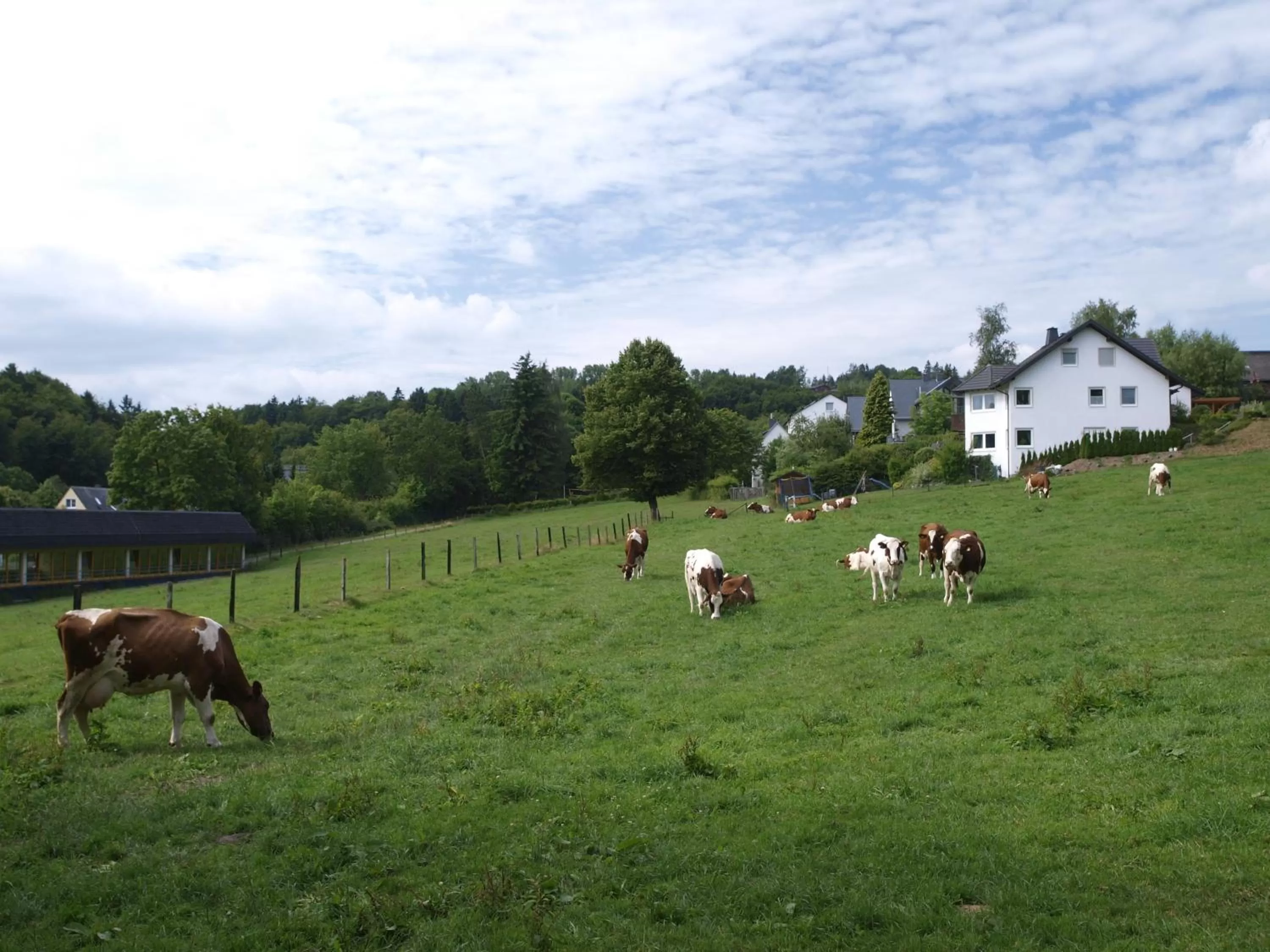 Garden in Landhotel Henkenhof Willingen