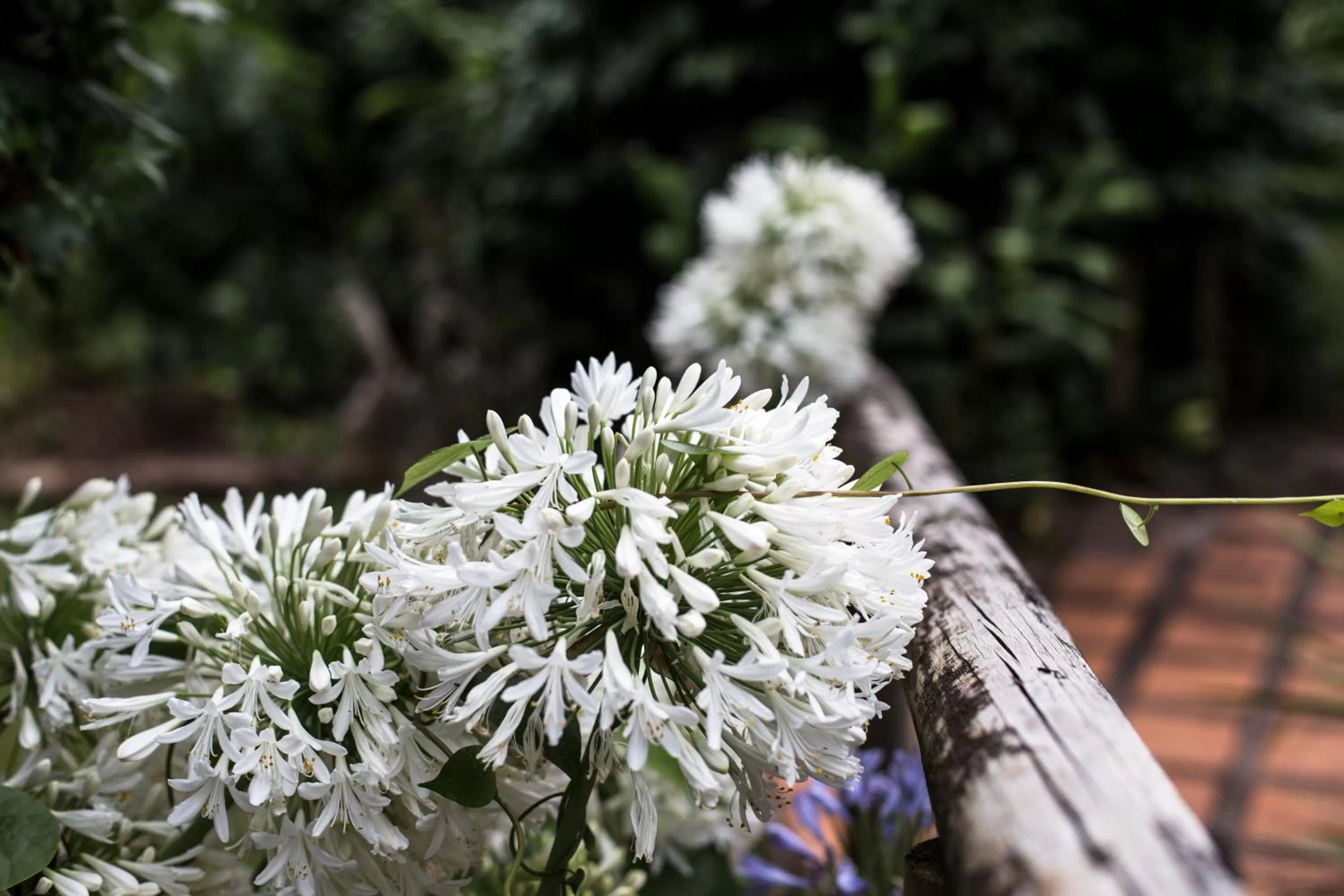 Other in Tall Trees Motel Mountain Retreat