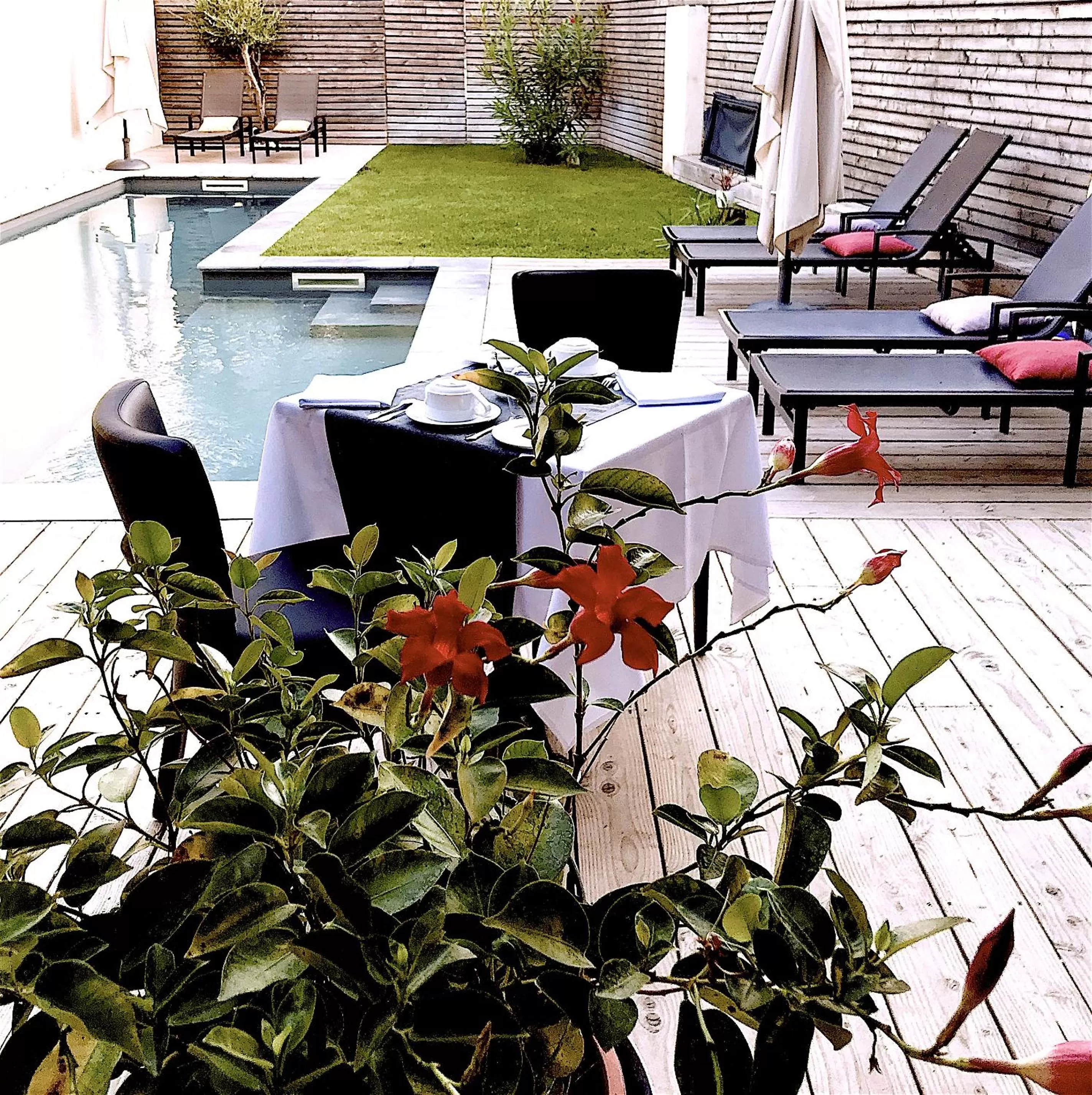 Garden in La Domitia - Maison d'hôtes, massages & bien-être