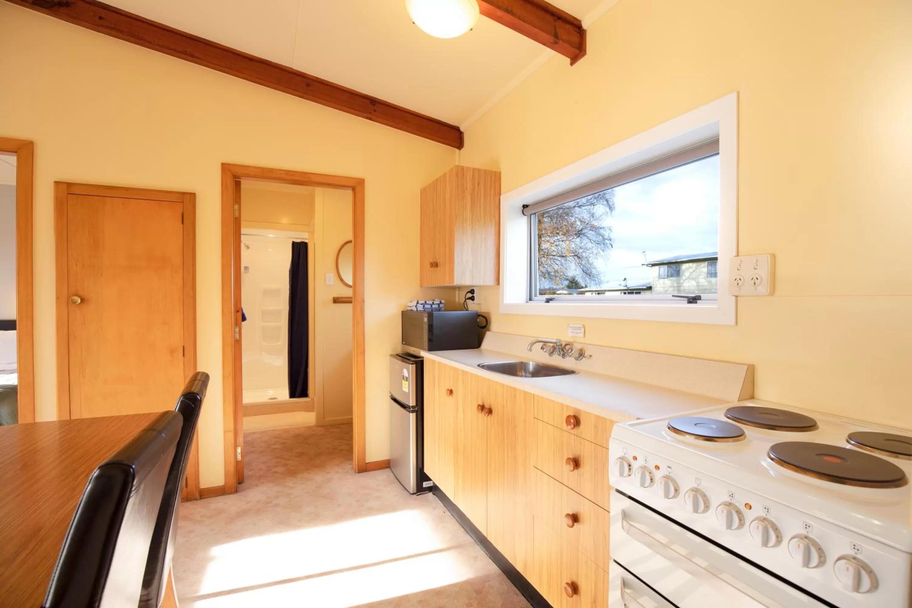 Shower in Alpine View Motel