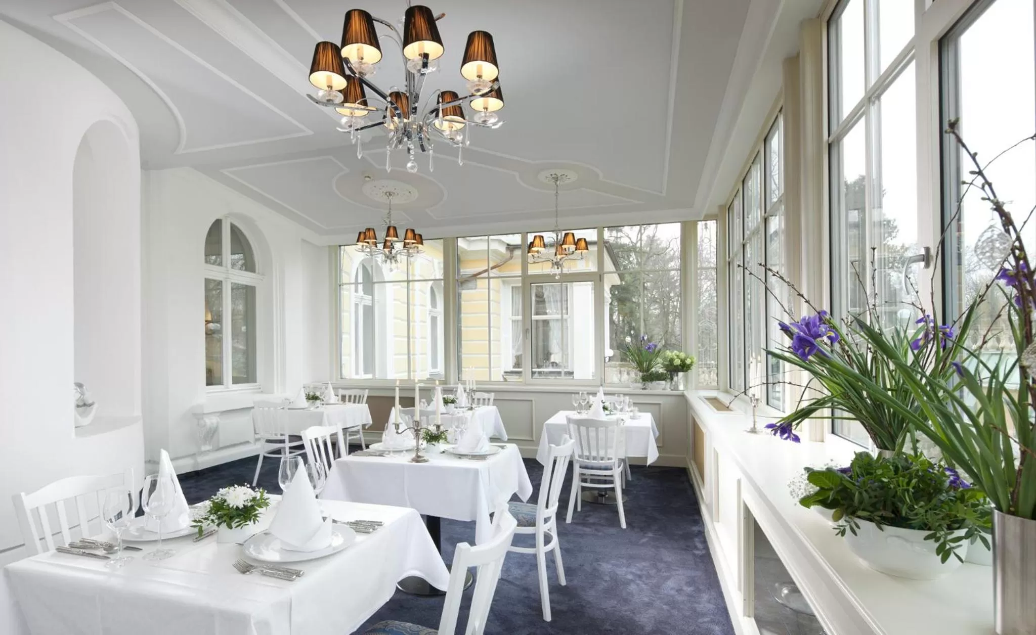 Food and drinks in Imperial Spa & Kurhotel