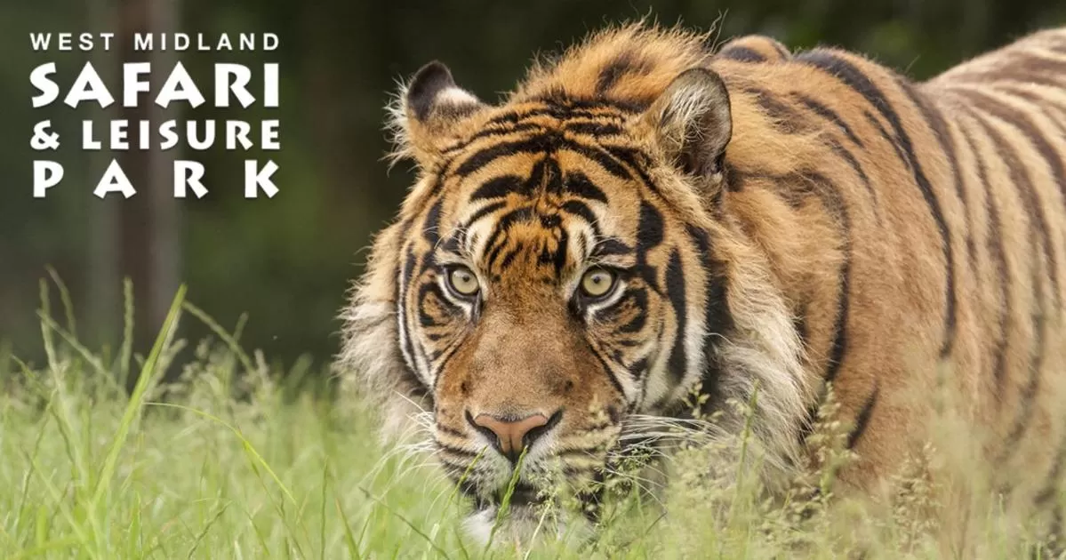 Other Animals in George Hotel Wetherspoon