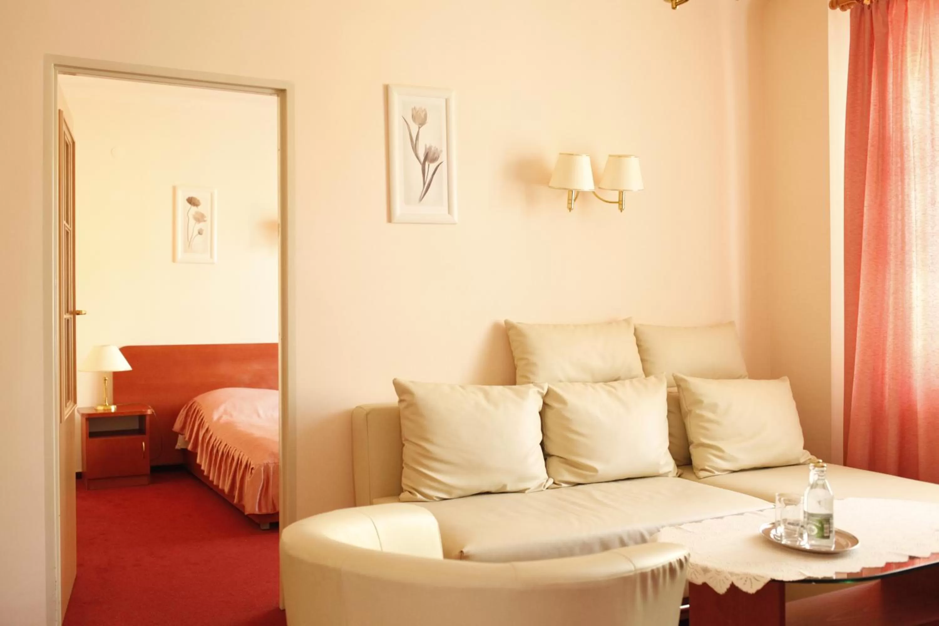 Living room, Bed in Iskra