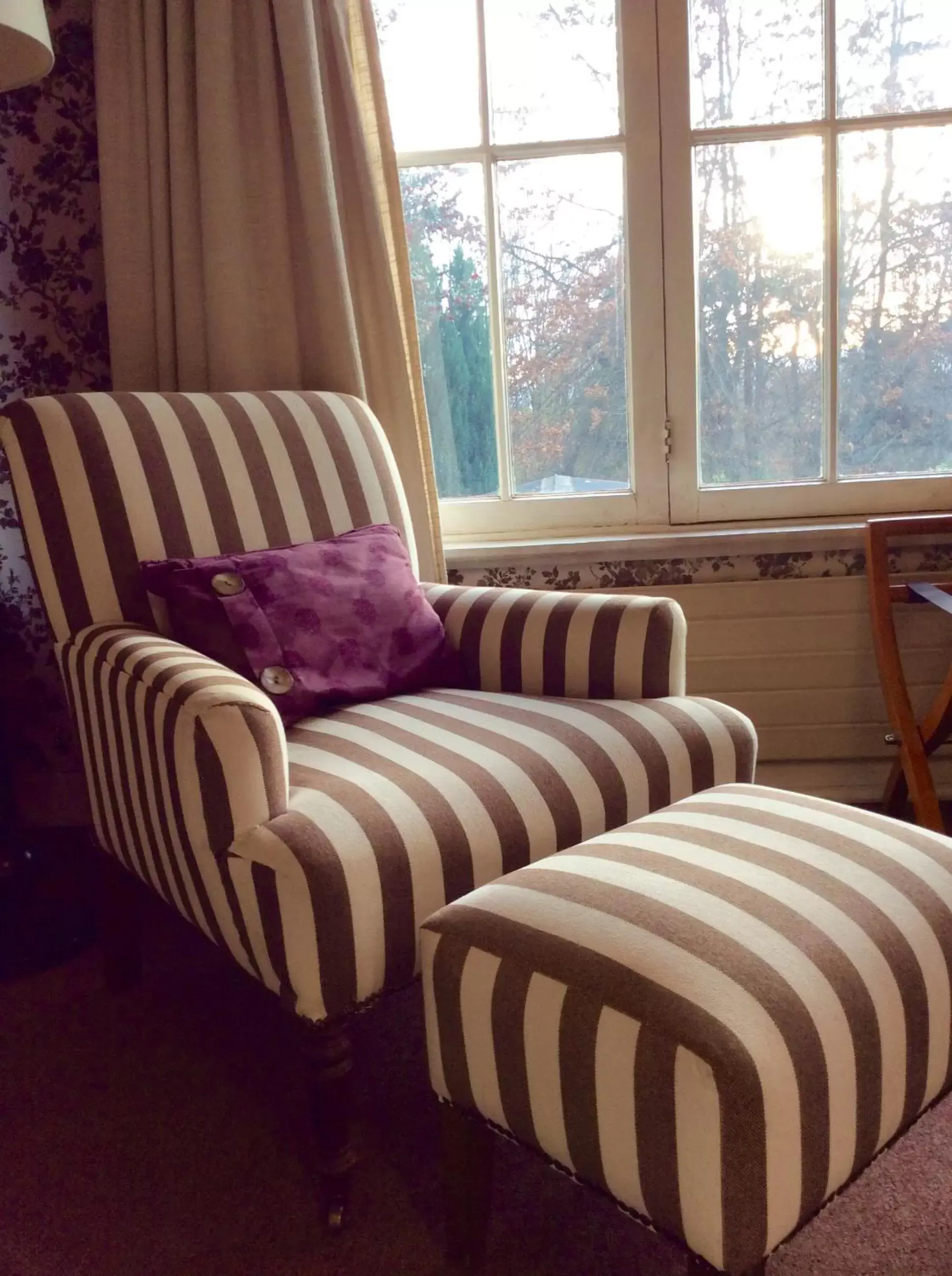 Suite - Main Building in Hotel El Ciervo Suite - Main Building in Hotel El Ciervo