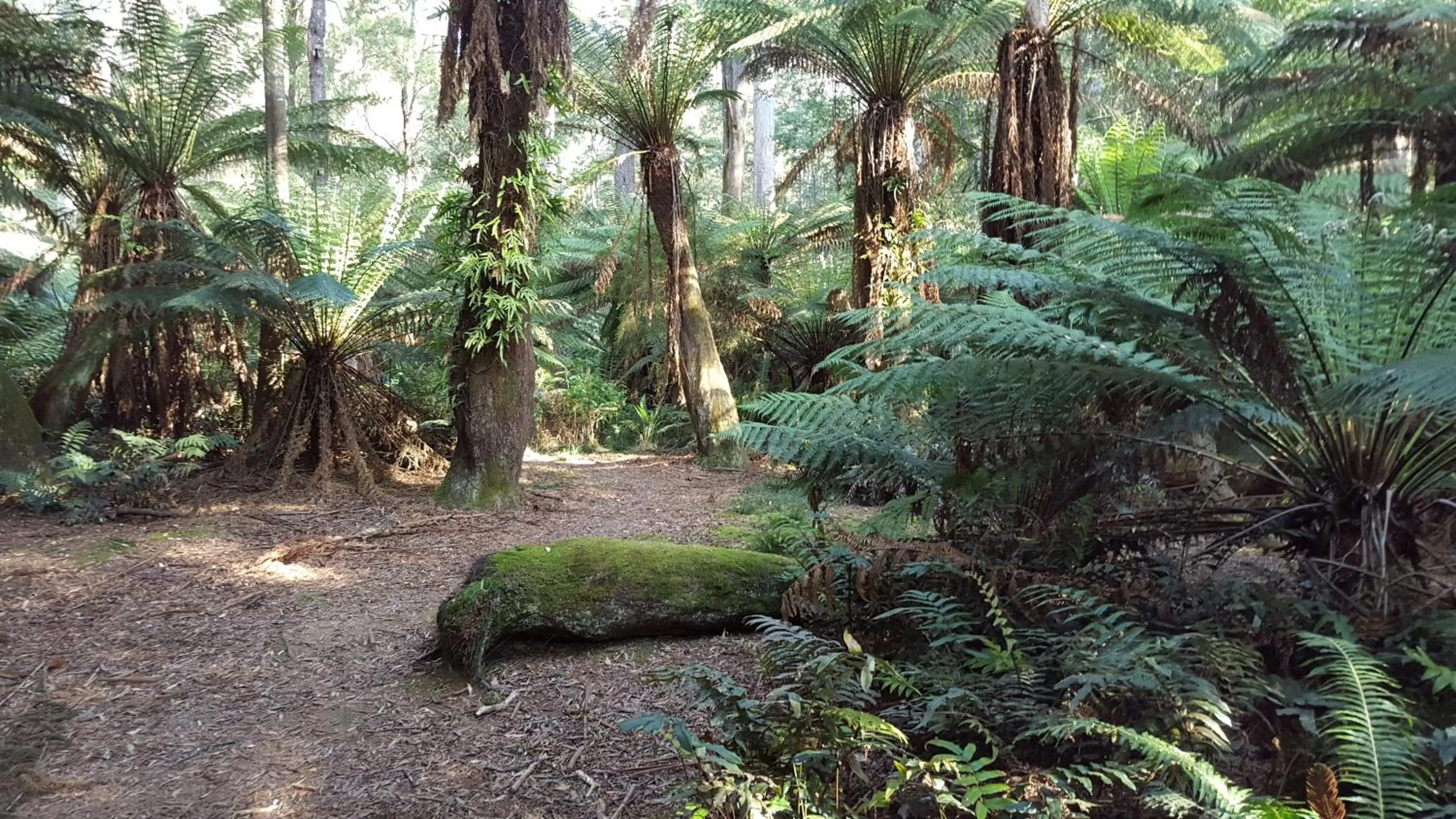 Natural landscape, Garden in Rustic Hut Bush Retreat