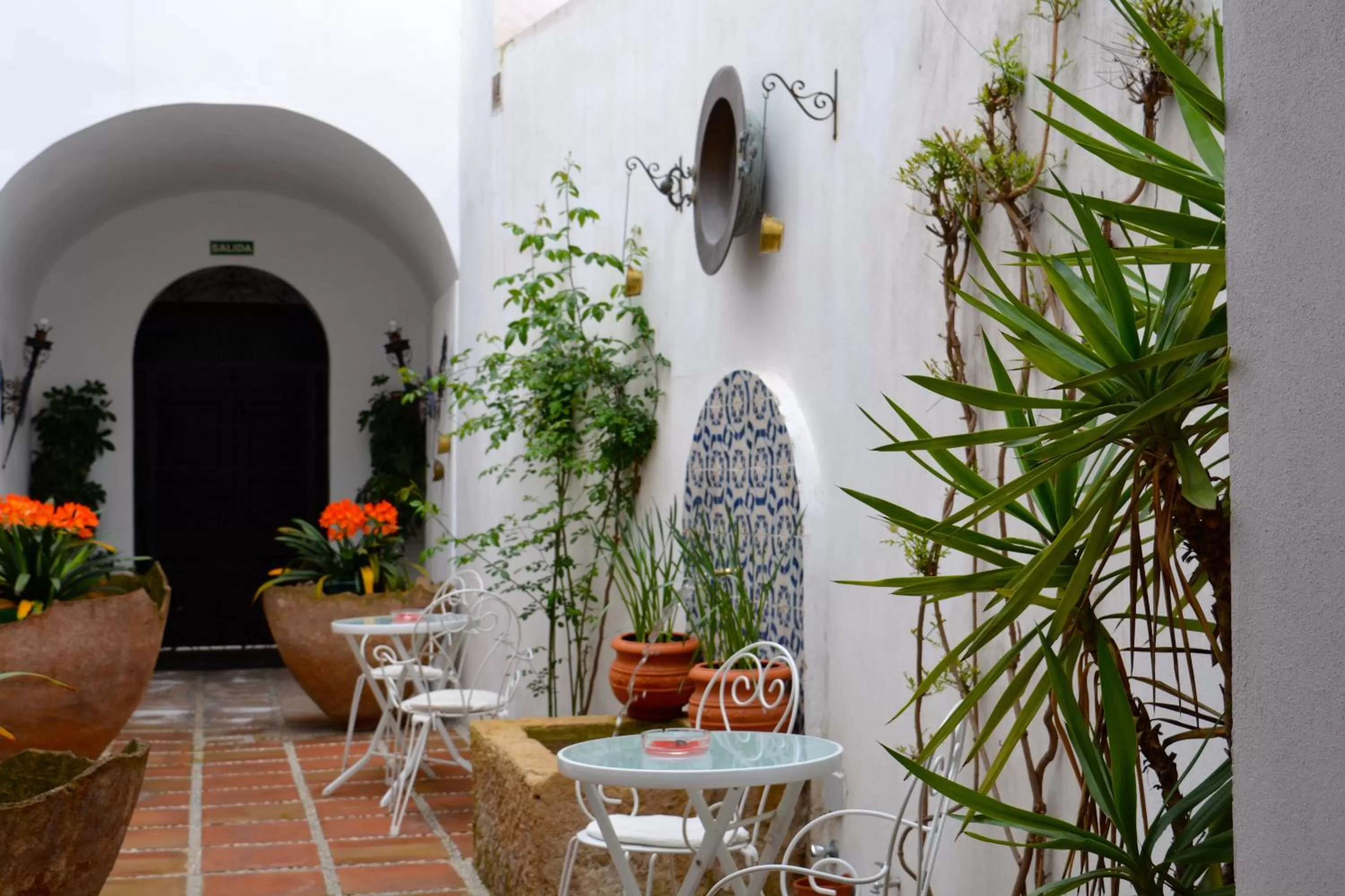 Patio in Hotel Marisa